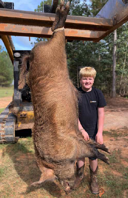 More hog than boy