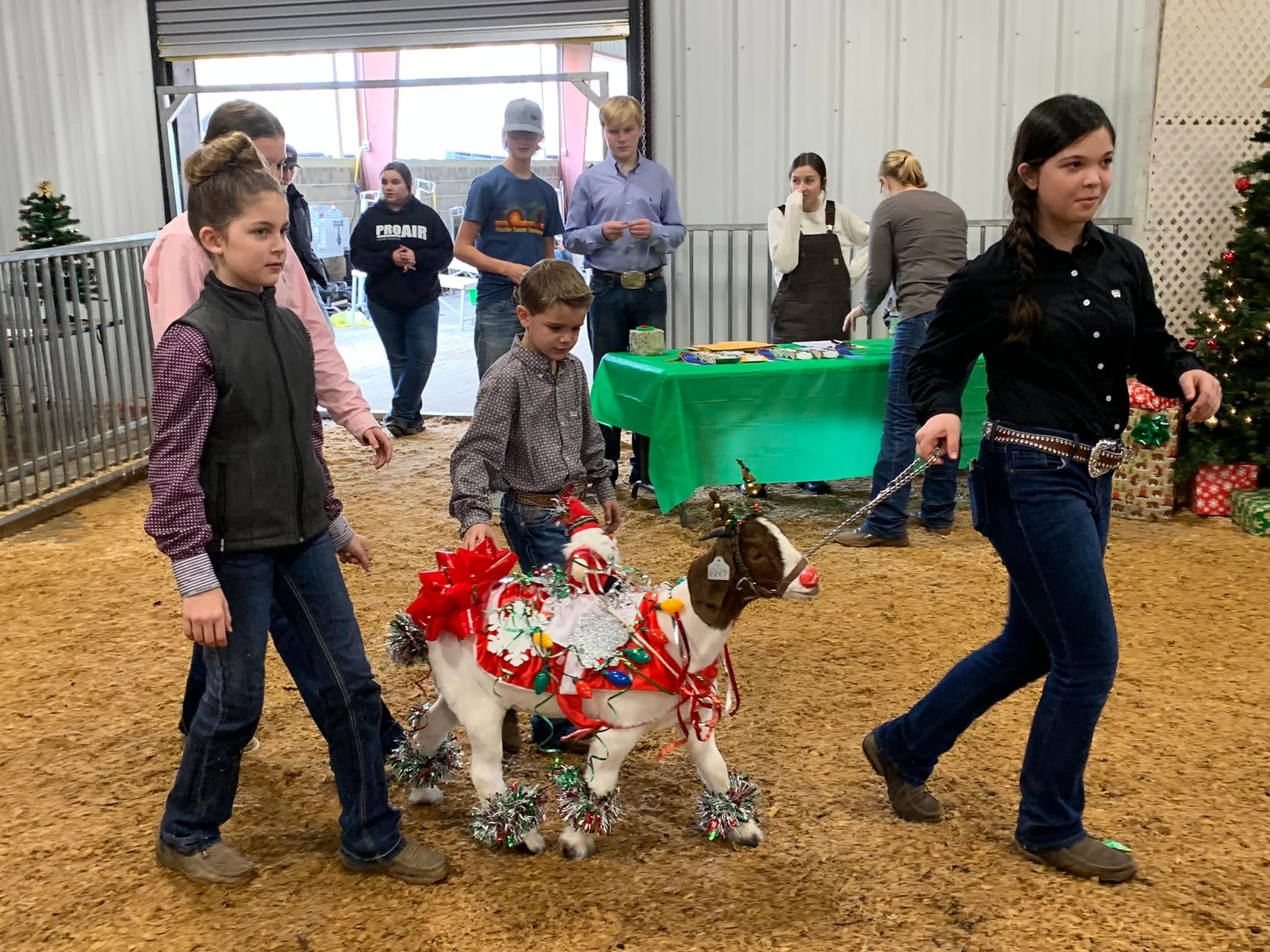 Naomi McPeake, Cam McPeake and Laura Spearing lead their festive entry into the goat decorating contest at the Oglethorpe County Christmas Classic at the Ag Education Center earlier this month. (Submitted Photo)