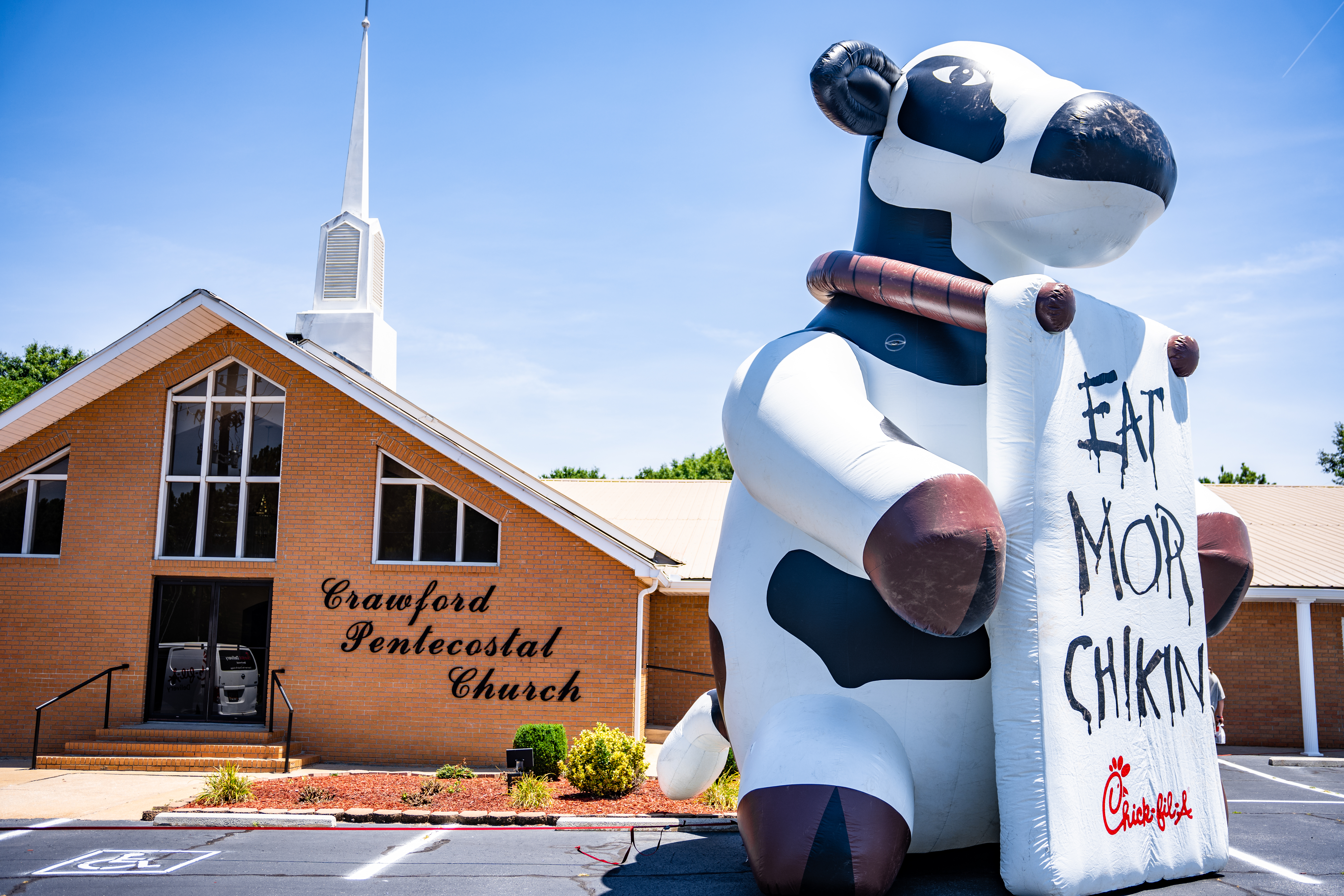A 40-foot inflatable cow greets customers at the Chick-fil-A van that sets up at Crawford Pentecostal Church on Tuesdays. (Jack Casey/The Oglethorpe Echo)