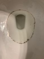 Arnoldsville resident Michaela Guest said the city’s water has caused rings to form around the toilets in her bathrooms. (Submitted Photo)