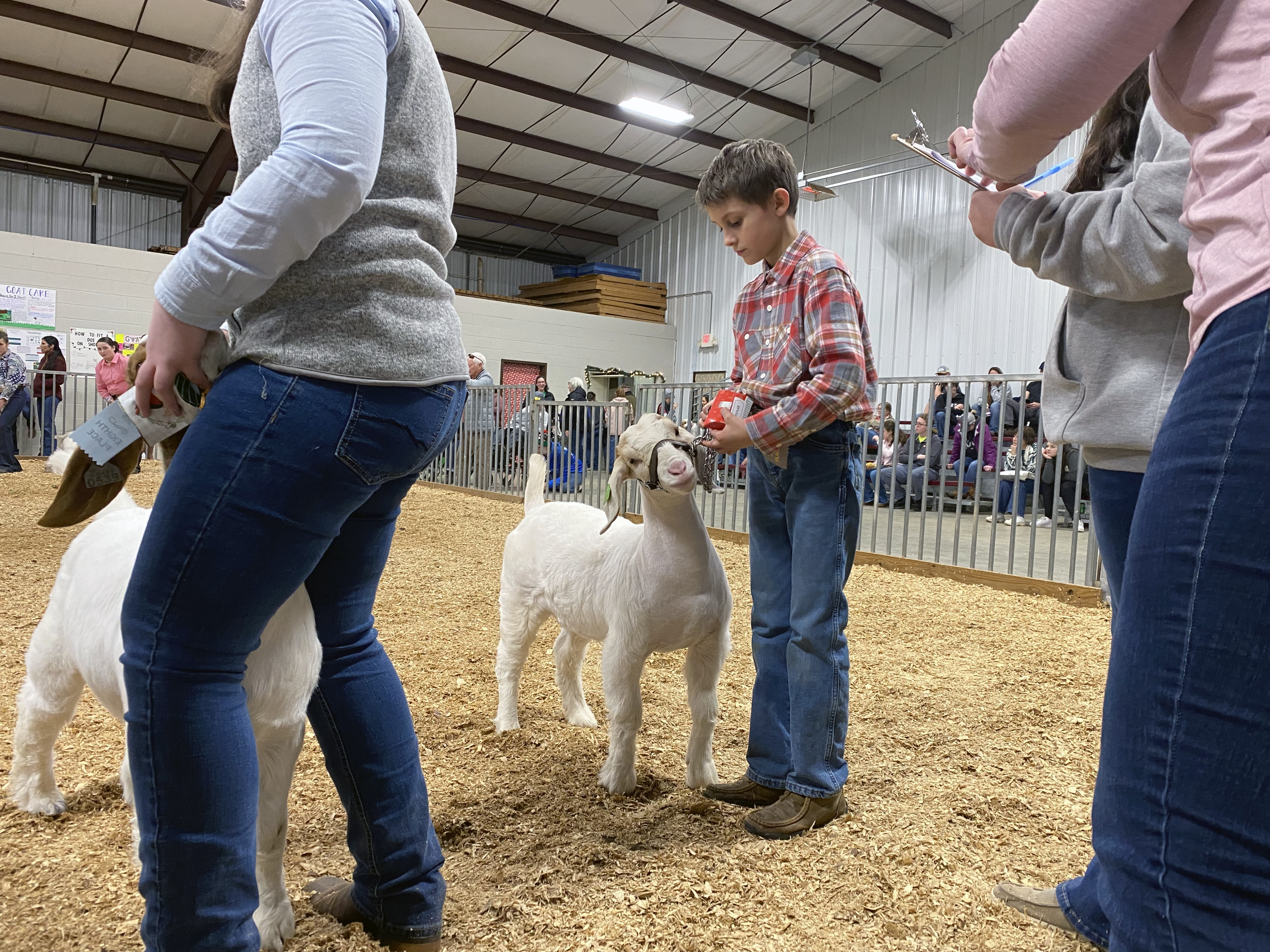 Kade Ruff, a third grader from Elbert County, stands with his goat in the show ring. Students of all ages participated in the OC Christmas Classic Goat Show on Dec. 10. (Erin Kenney/The Oglethorpe Echo)