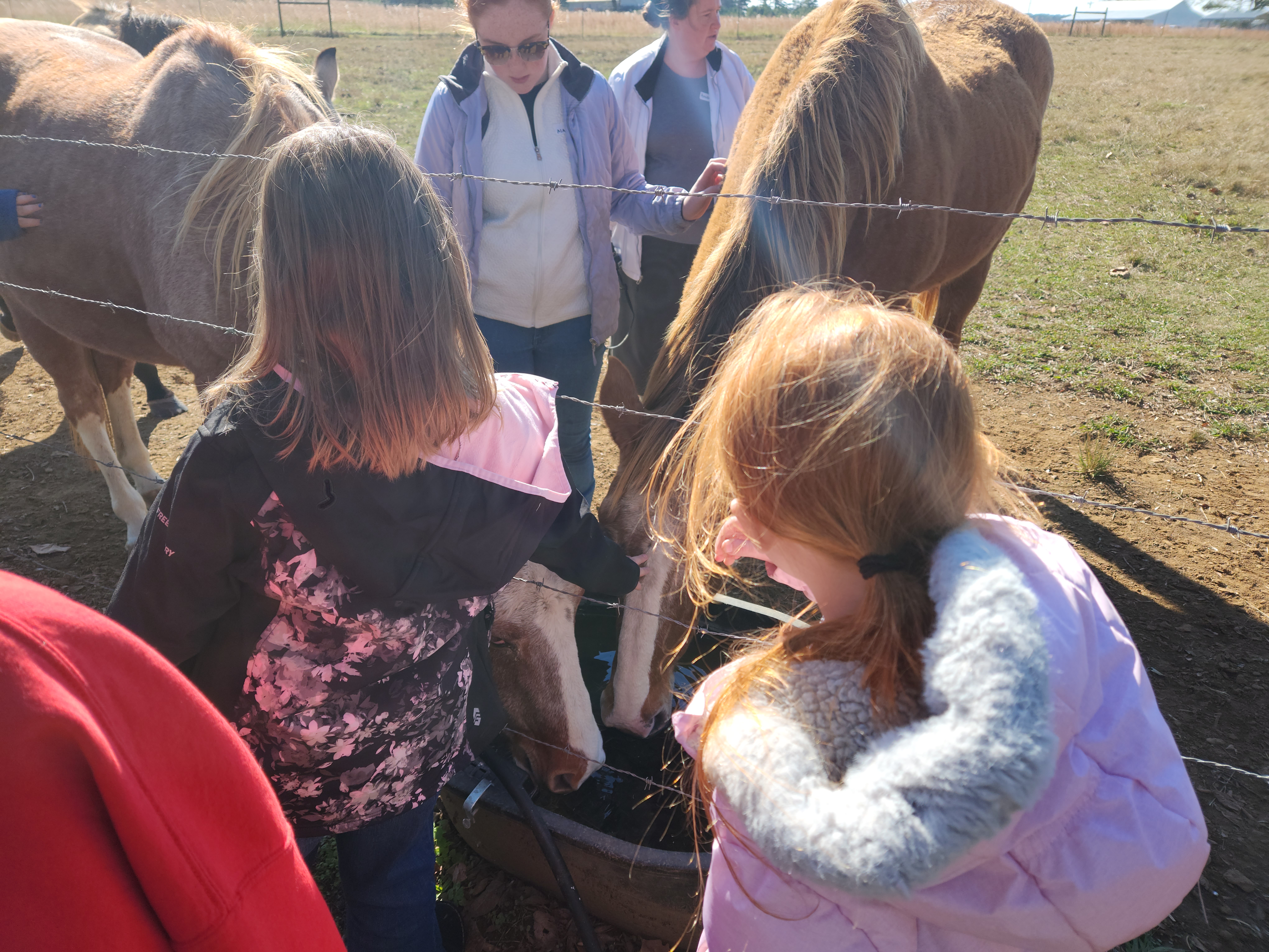 Members of the Oglethorpe County 4-H Horse Club interact with horses during the group’s first meeting at Echo Hill Farm last month. (ANDREA GUTIERREZ/THE OGLETHORPE ECHO)