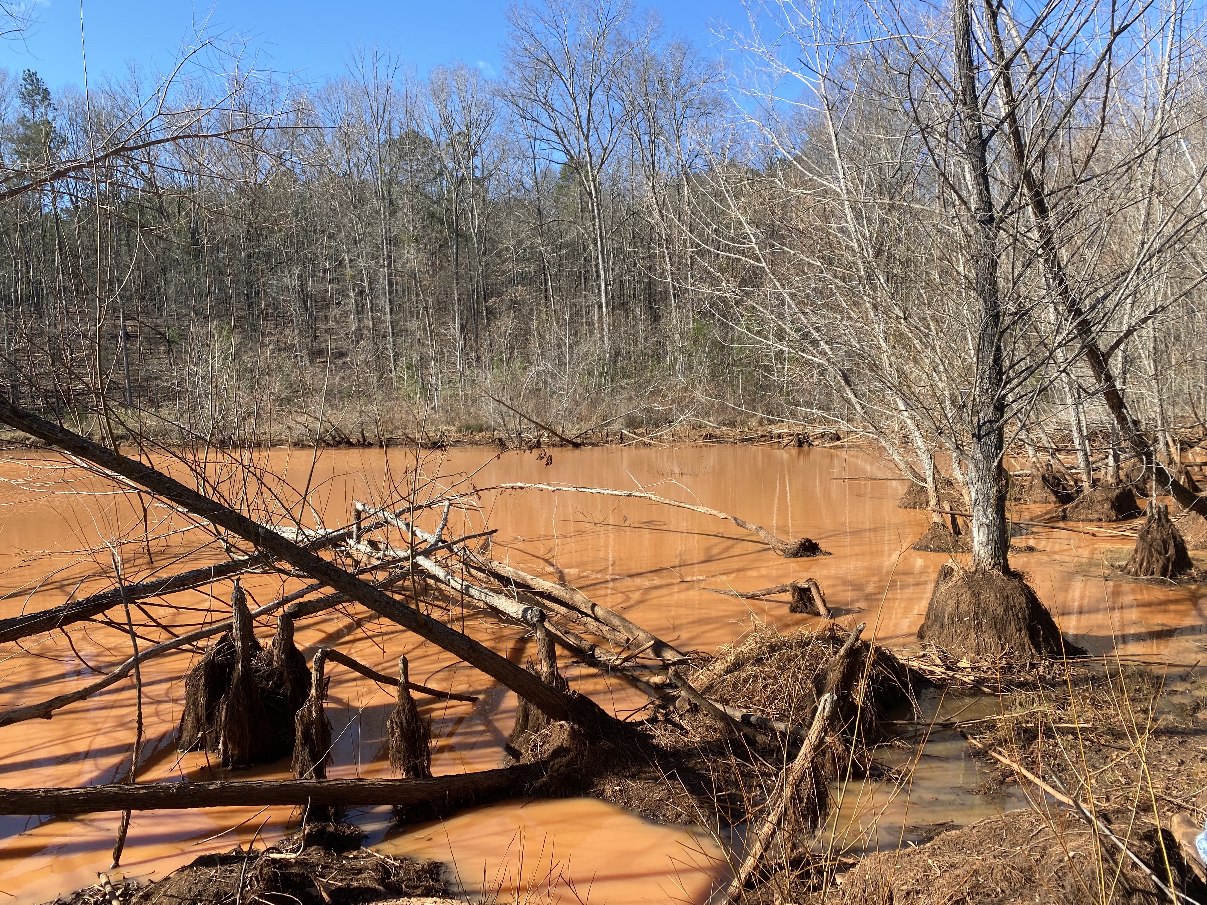 Oglethorpe County property owner Joe Forrester said his lake in Goose Pond has been "totally red" for two months. His land is adjacent to the Timberland Solar Project. (Erin Kenney/The Oglethorpe Echo)