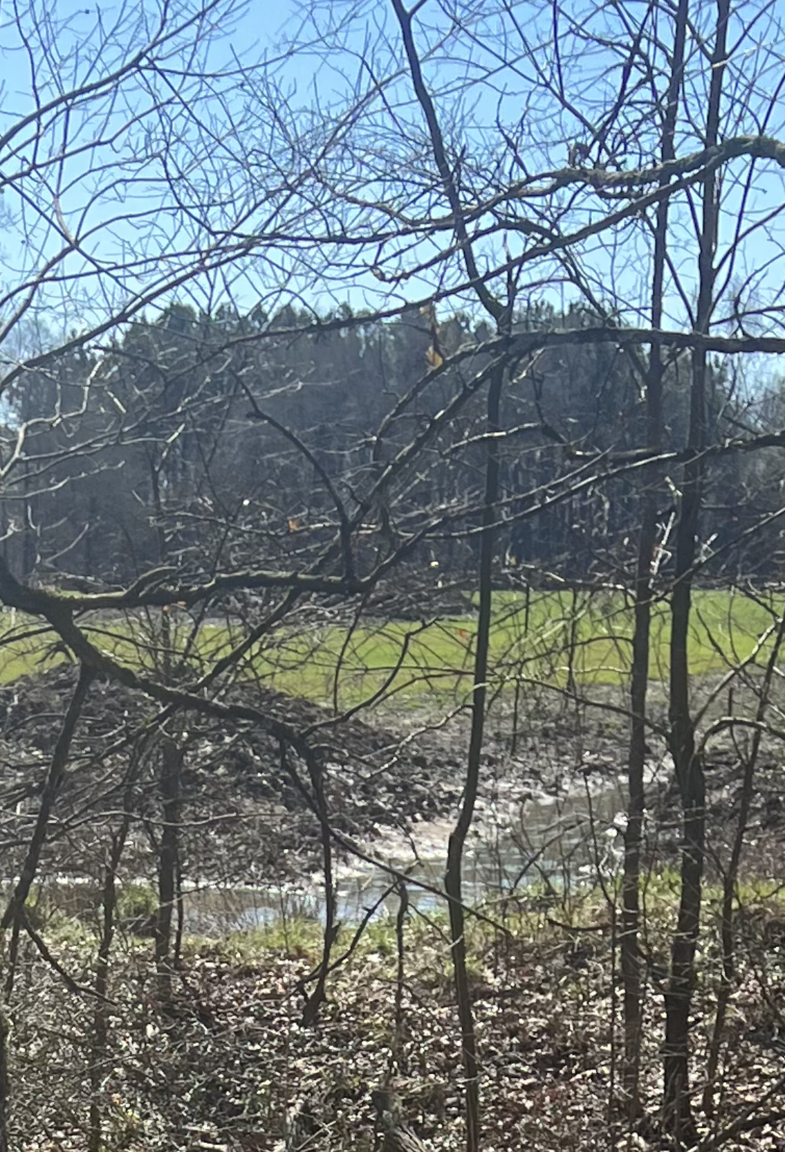 (JOHNATHAN MARTIN/FOR THE OGLETHORPE ECHO) Johnathan Martin said sludge from piles of soil amendment on a neighboring property flows onto his land, which is in Rayle.