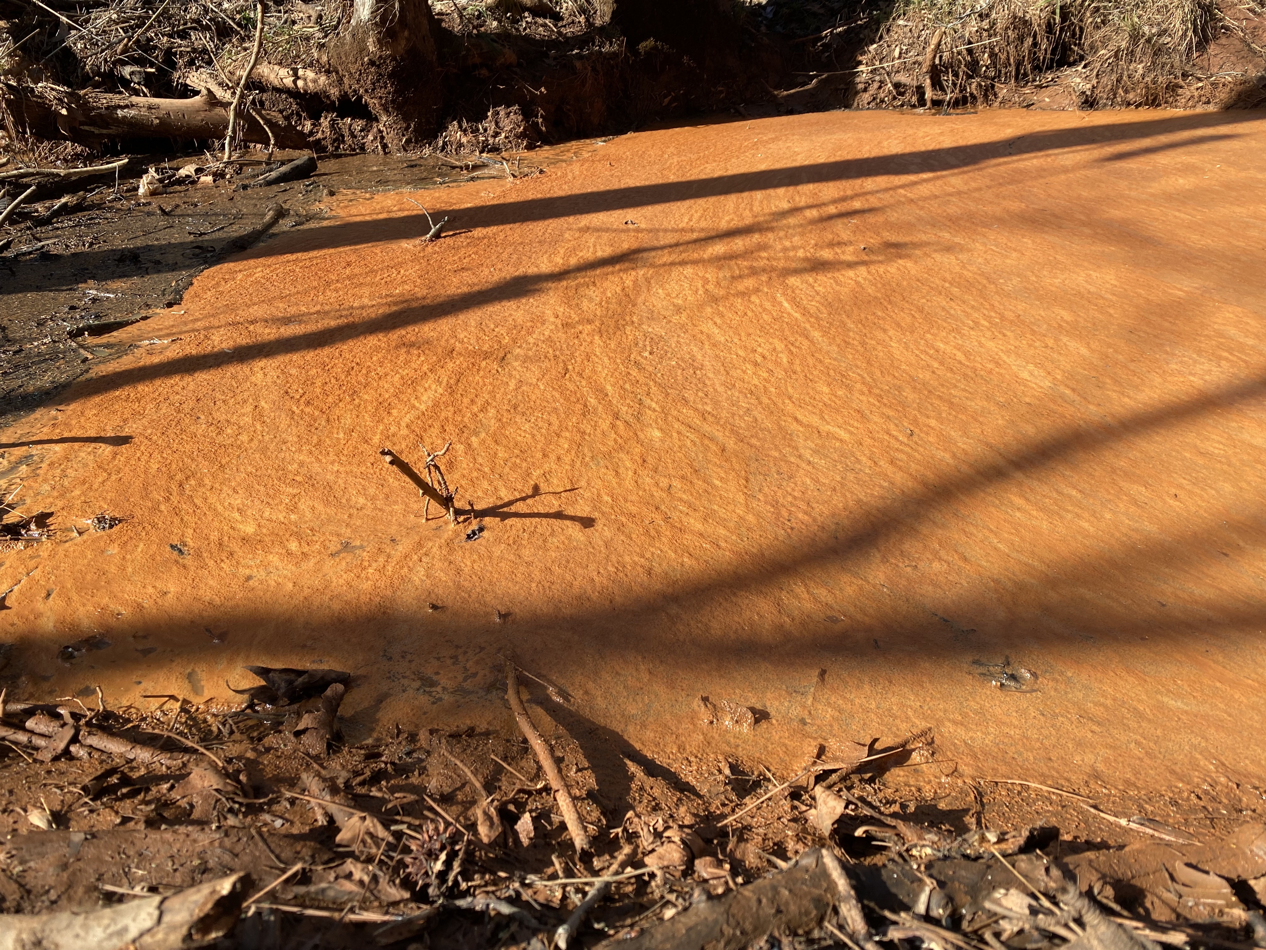 A creek on Joe Forrester's property near the Timberland Solar Project in Goose Pond turned orange after heavy rains in January. Code Compliance Officer Jeff Sharp said residents in that area are concerned about sediment and runoff. (ERIN KENNEY/THE OGLETHORPE ECHO)