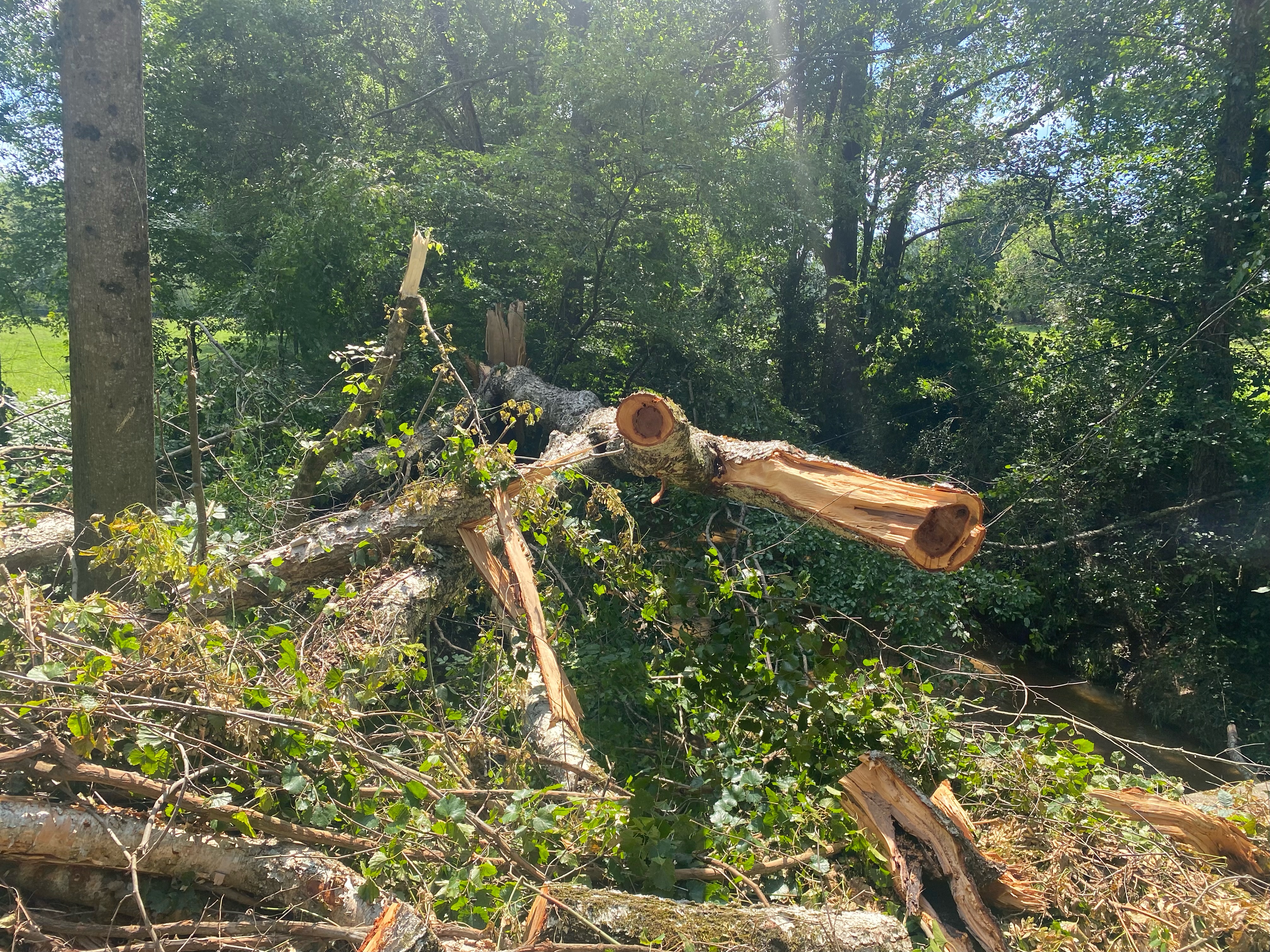 Oglethorpe County Public Works Department crews worked late Saturday night and into the early morning hours of Sunday, July 9 to clear trees and debris in several locations after storms blew down trees. There were no injuries, but crews estimated between 75-100 trees fell and needed to be cleared from Melton Road and William McCurley Road in Winterville, and Center Church Road and McWhorter Road in Stephens, said Adam Nation, the public works director. (DINK NESMITH/THE OGLETHORPE ECHO)