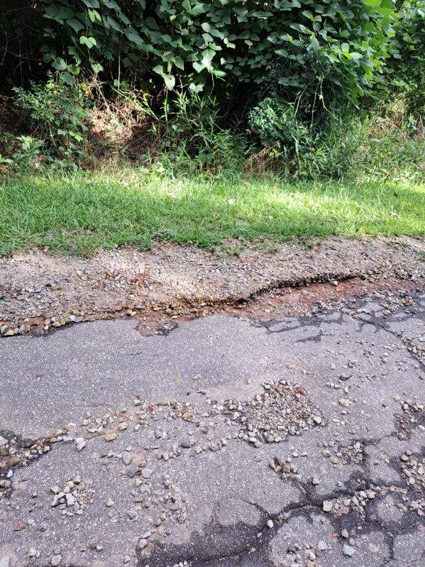 Sarah Collins, who lives on Harris Drive, stressed the poor condition of Harris Drive, which includes paving in need of repair and overgrown trees and brush, which need to be trimmed. (SARAH COLLINS/FOR THE OGLETHORPE ECHO)