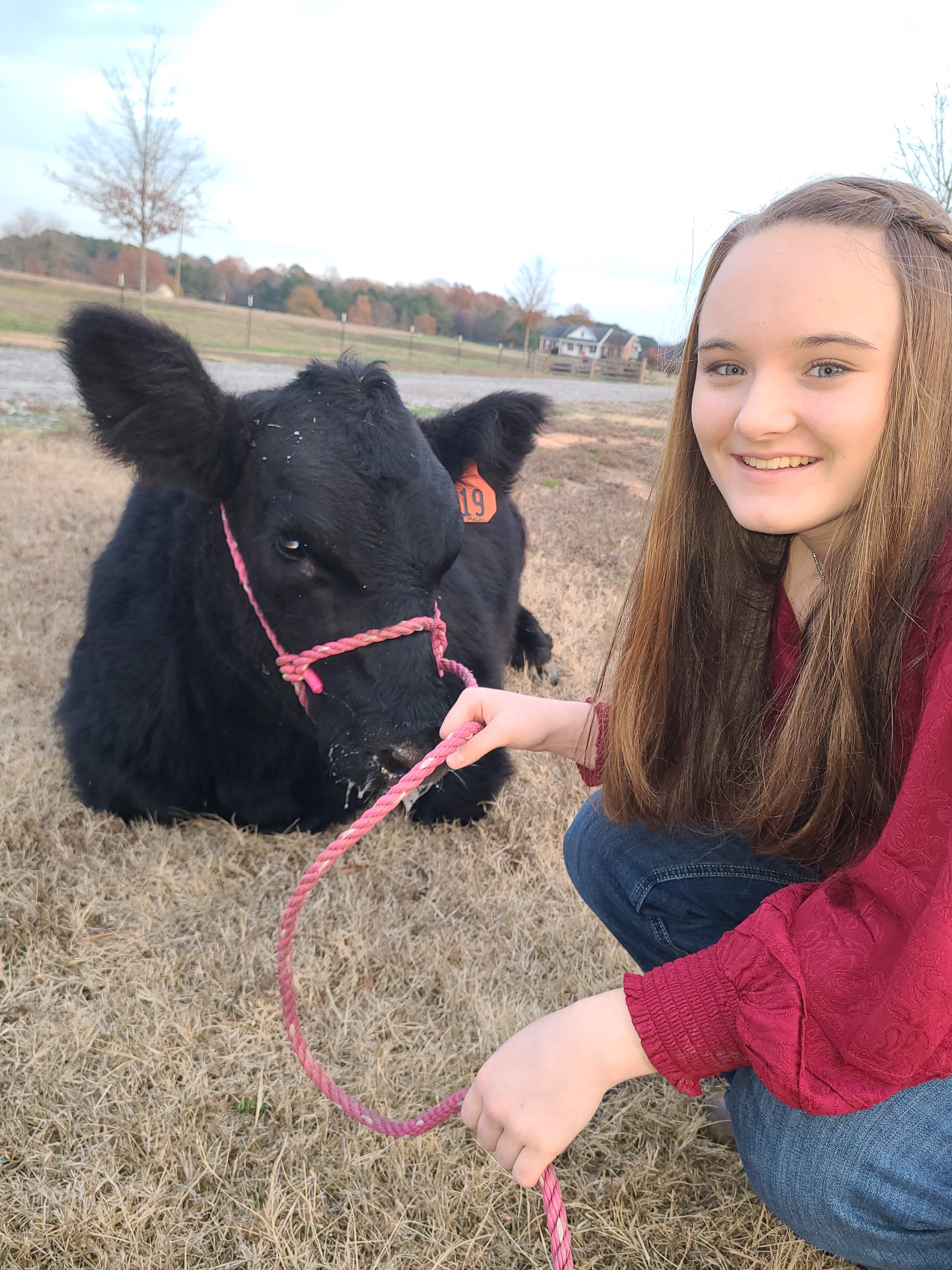 Callie Bridges kneels alongside an Angus cow at Bridges Angus Farm in Lexington. Callie, the daughter of Phillip and Leigh Anne Bridges, is part of the fourth generation of the Bridges family to work the farm. (Submitted Photo)