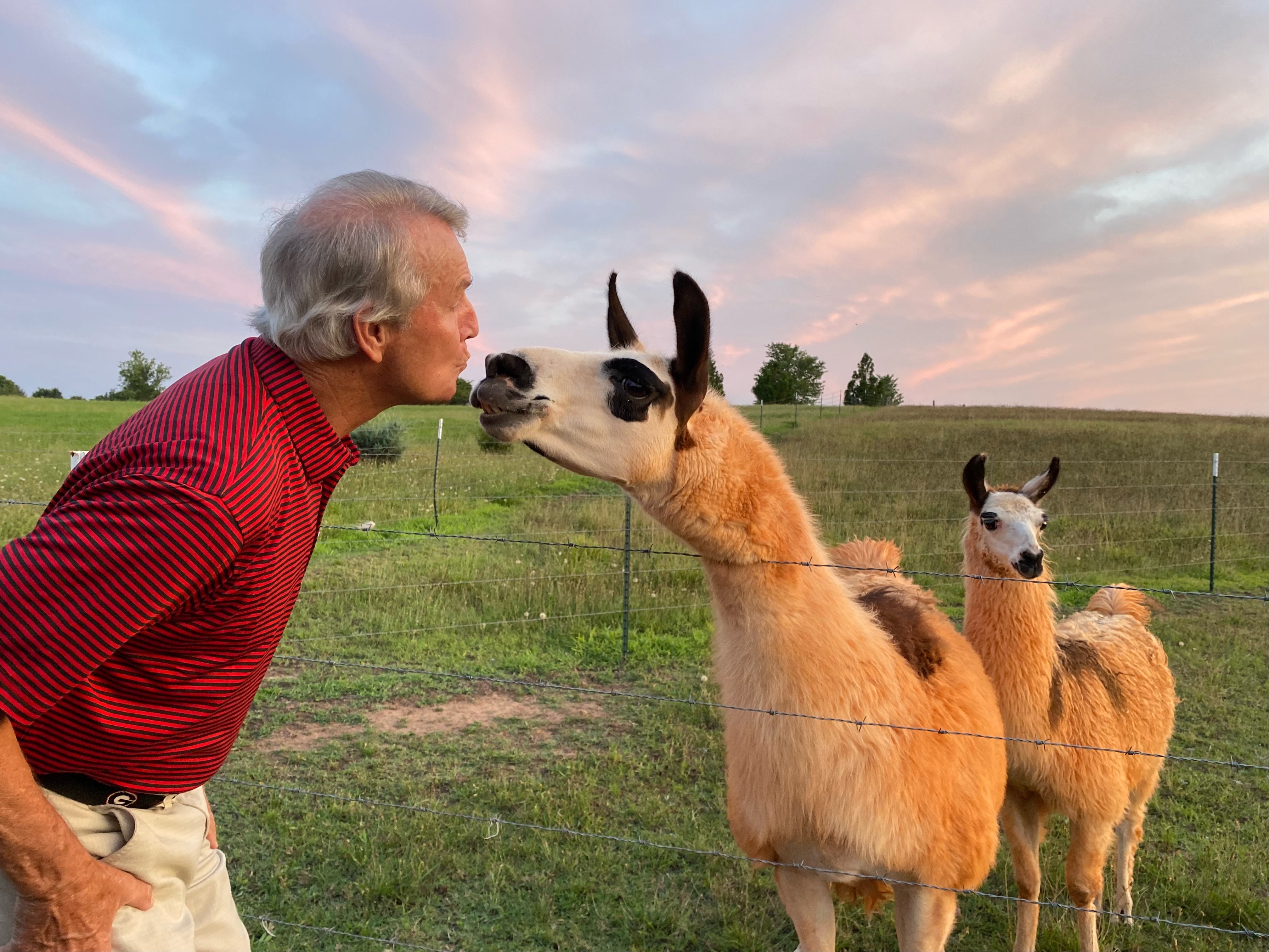 Llamas are infamous for spitting, but Dorsey Hill — of Lewis Grizzard fame — knows our Georgette is a kisser. (Dink Nesmith/The Oglethorpe Echo)