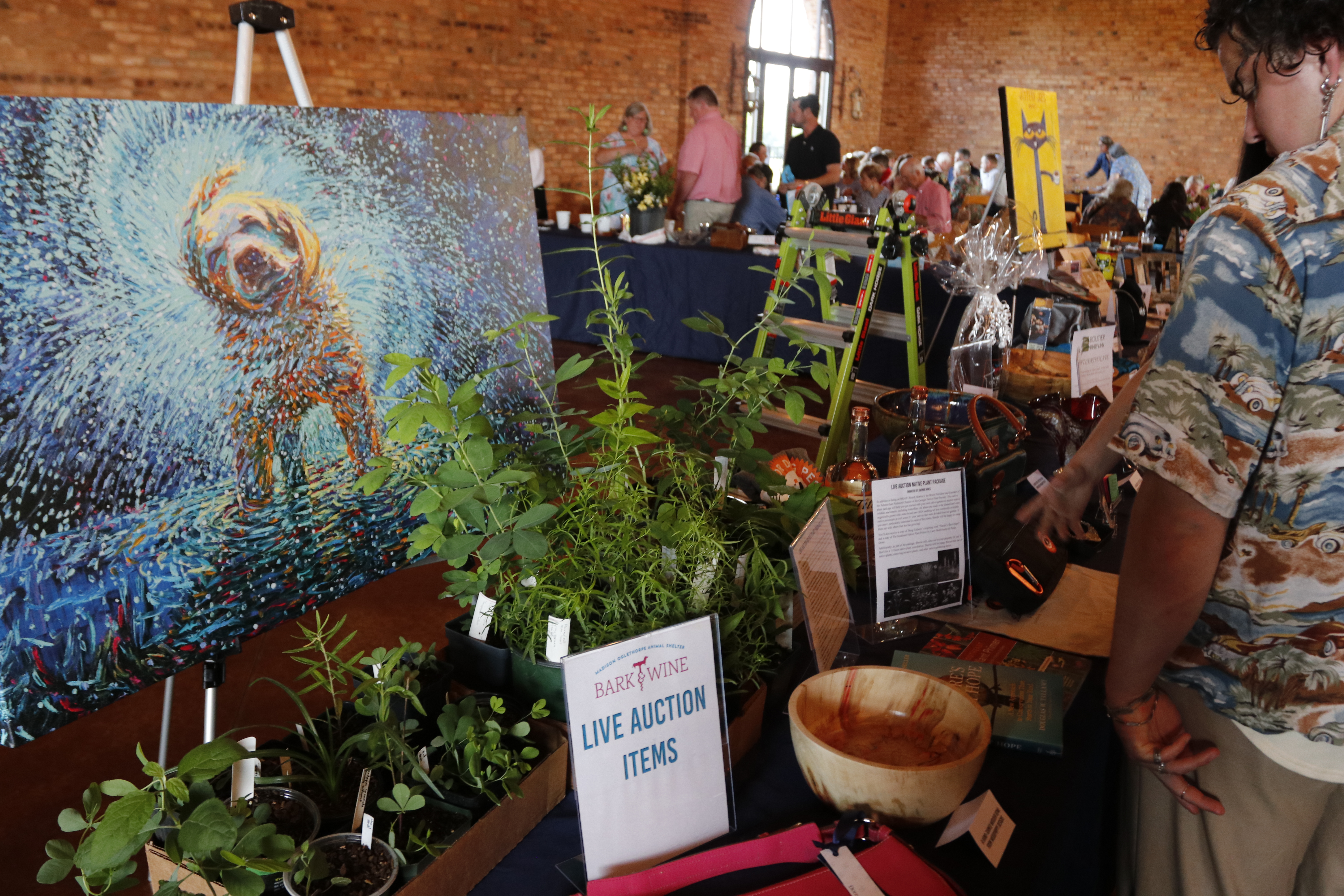 Guests look over tables of auction items at the annual MOAS Bark & Wine at Historic Smithonia Farm on May 18. This year's auction featured over 100 donated items, including pieces by local artists and gift certificates for local businesses. (Torin Smith/The Oglethorpe Echo)