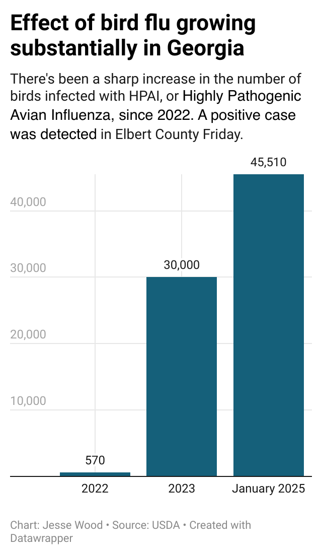 There's been a sharp increase in the number of birds infected with HPAI, or Highly Pathogenic Avian Influenza, since 2022. A positive case was detected in Elbert County Friday.