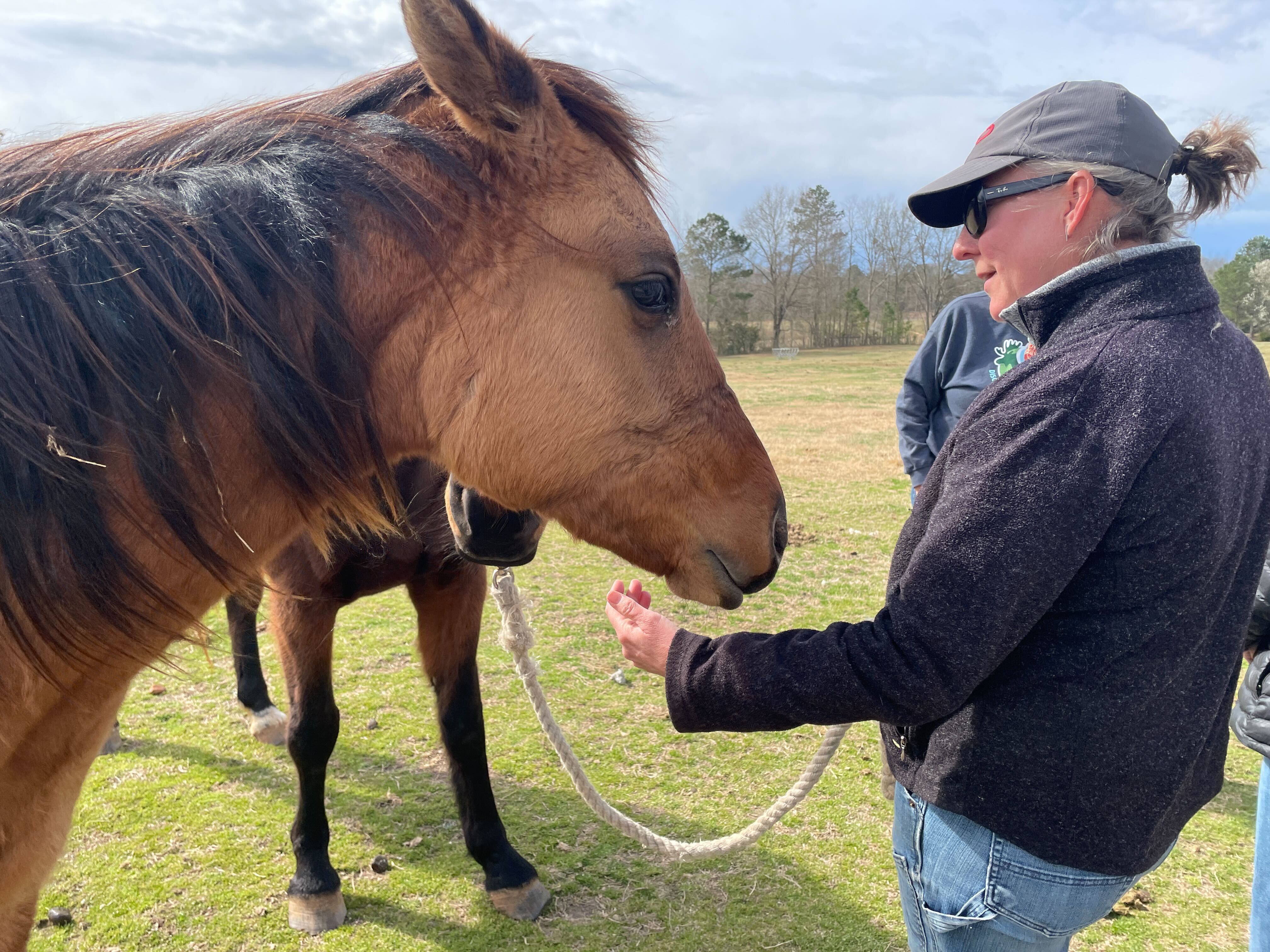 Paulette Brown (above) of ReDux Equine Rescue scratches Wren, one of the most recent of the 30 horses at the rescue. Wren, a 2-year-old filly, came to Oglethorpe County from Henry County after having had little human contact and with a halter embedded in her face. (Photo/ Amanda Bright)