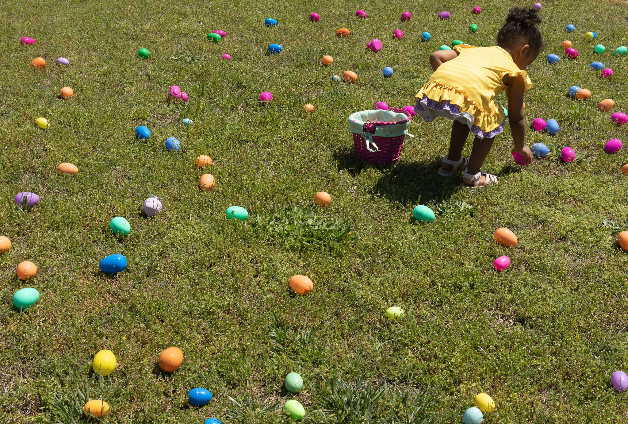 Jadie Fleming (2) picks up eggs during the Easter egg hunt hosted by Quiet Oaks Nursing Home in Crawford, Ga on April 13, 2025. All eggs were filled with candy donated by family members of Quiet Oaks residents and staff. Two of those contained $5 bills and three held $1 bills.  (Photo / Lux Corrona)