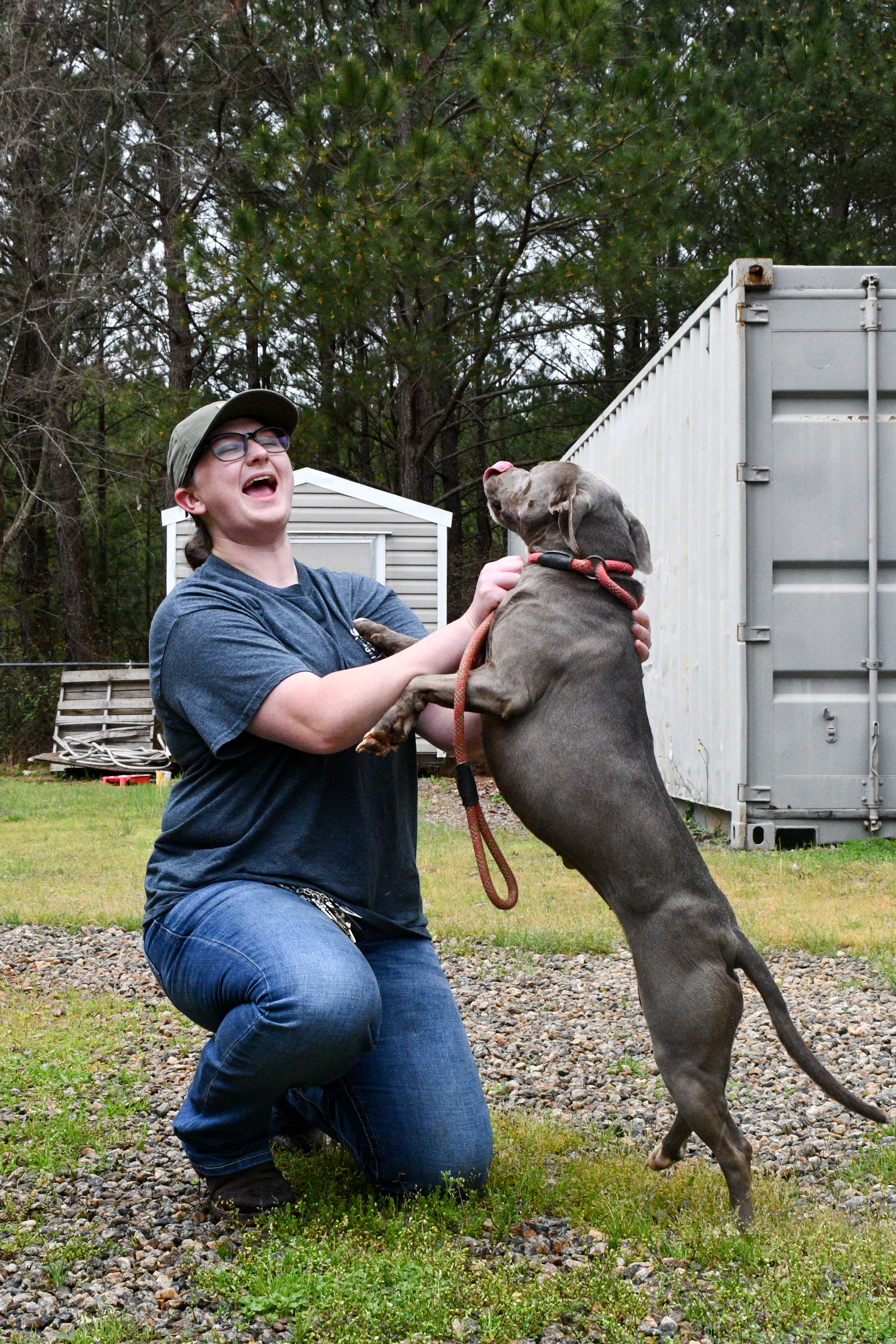 Belle, the longest dog resident at the Madison Oglethorpe Animal Shelter, jumps on executive director Juli Huth. Recently hired, Huth has goals "to see (the shelter's) length of stay go down." (Photo/Jennifer Xia)