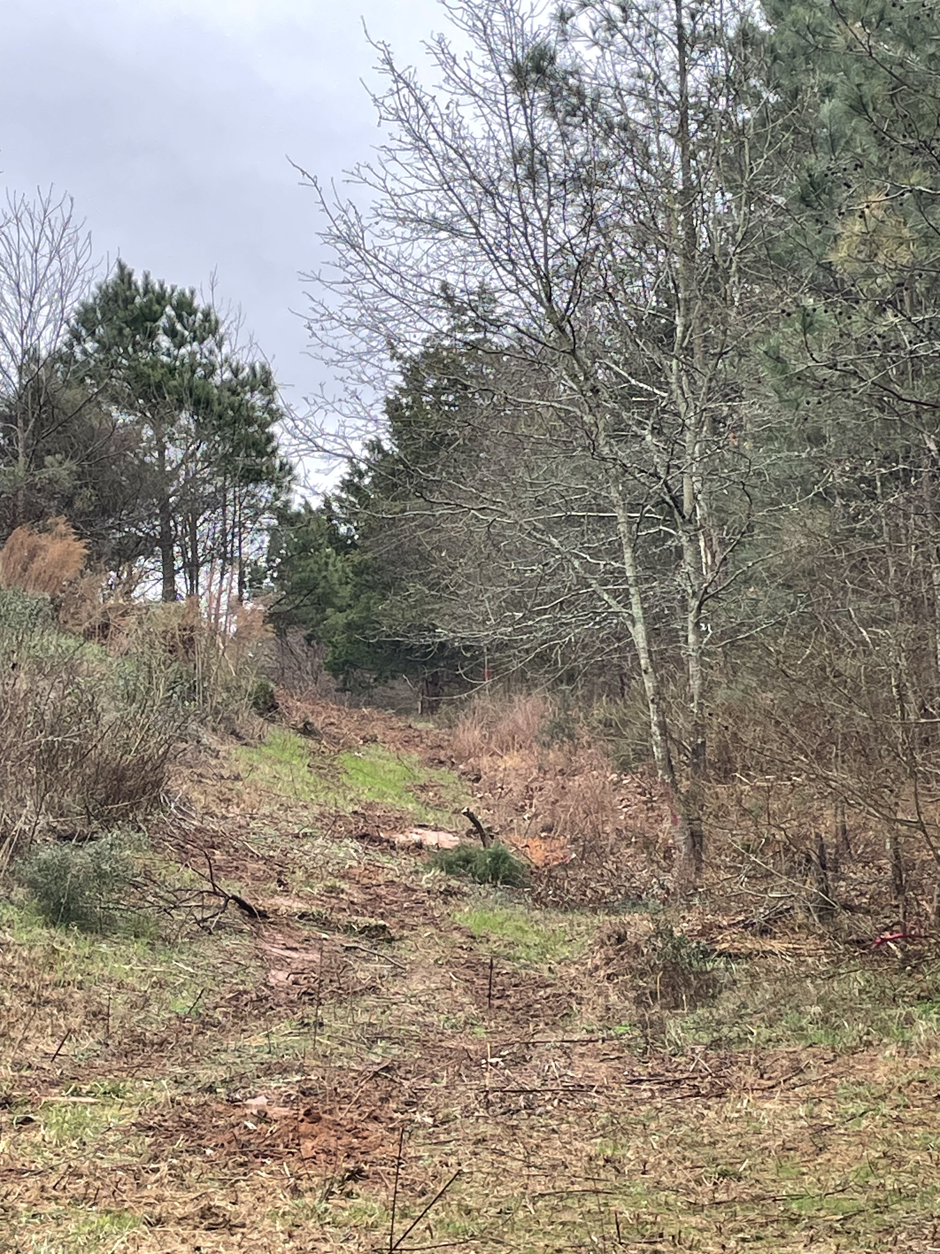 Some may see a lot of work however coach Adams saw this land and a vision was born to grow the sport of running in the county. (Submitted Photo)  