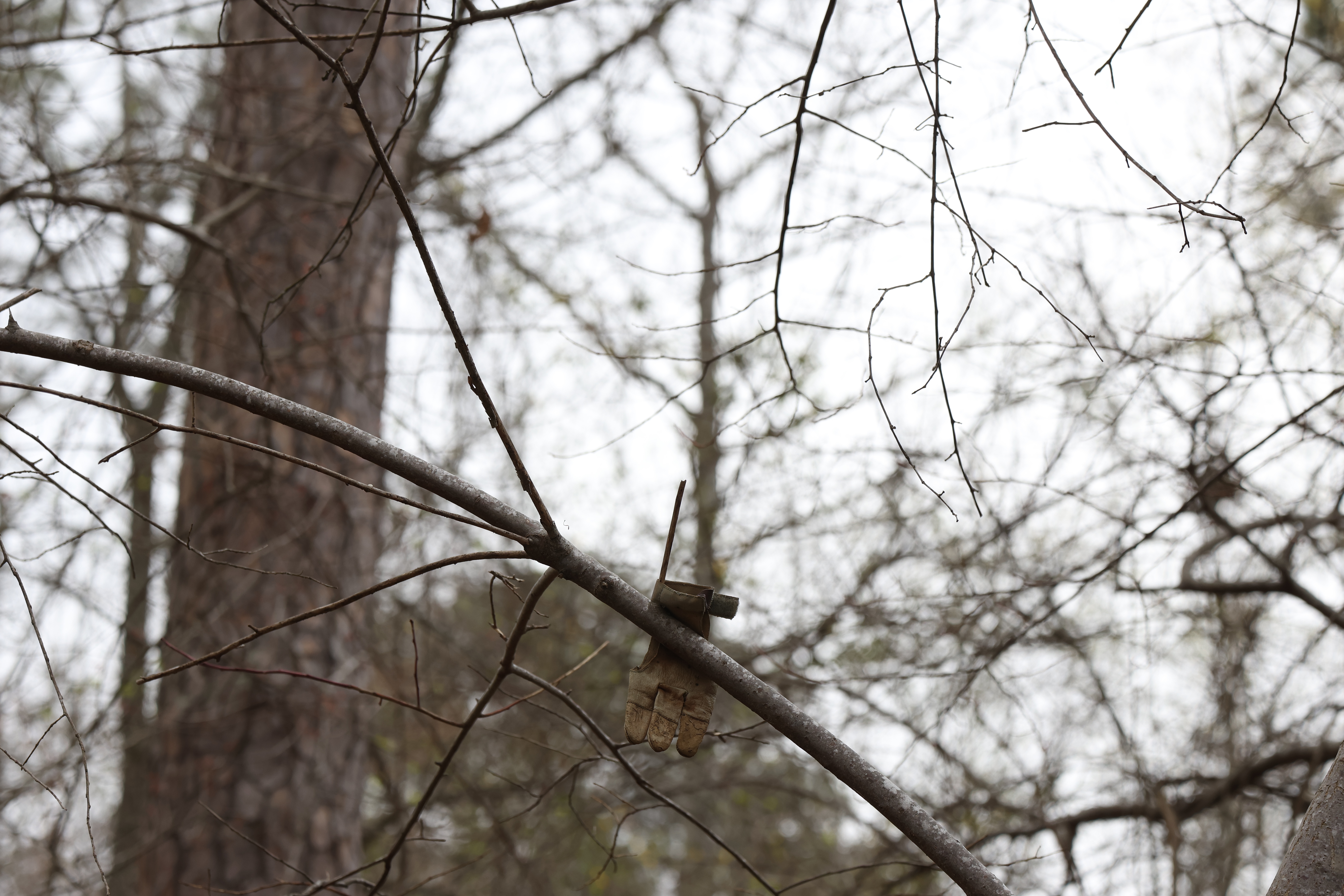 Photos from Shaking Rock Park in Lexington on, Wednesday March 25, 2026. Shaking Rock Park has been a historic spot in the Oglethorpe County landscape for over 200 years. (Photo/Sydney Shankman) 