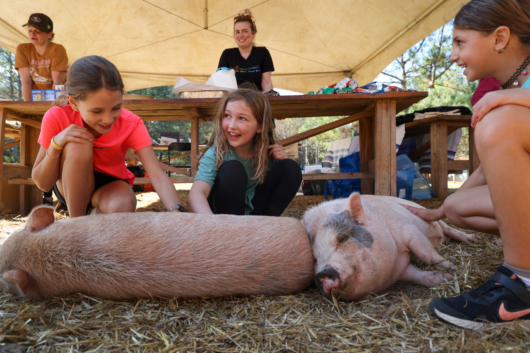 Beatrice Border (left to right), Lexi Nixon and Tallulah Mastrogiovanni, all from Athens, pet the animals at Sweet Olive Farm Animal Rescue after the ride on Saturday, Nov. 18, 2023. The inaugural cycling event raised awareness and funds for the animal rescue farm, which is home to pigs, cows, horses, llamas, chickens and other farm animals. (Photo/Cassidy Hettesheimer)