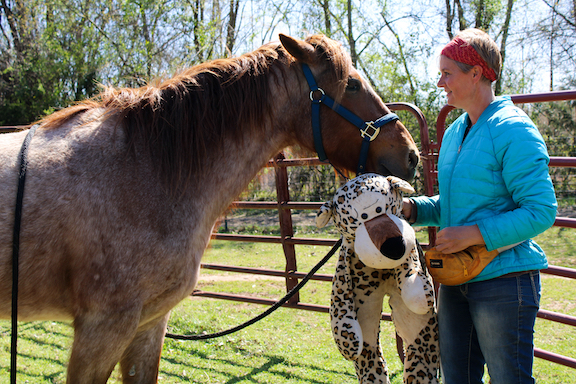 Meg Eades, a positive enforcement horse trainer and the primary trainer at ReDux Equine Rescue, works with Merlin (horse). (Photo/Aisha Schulz)