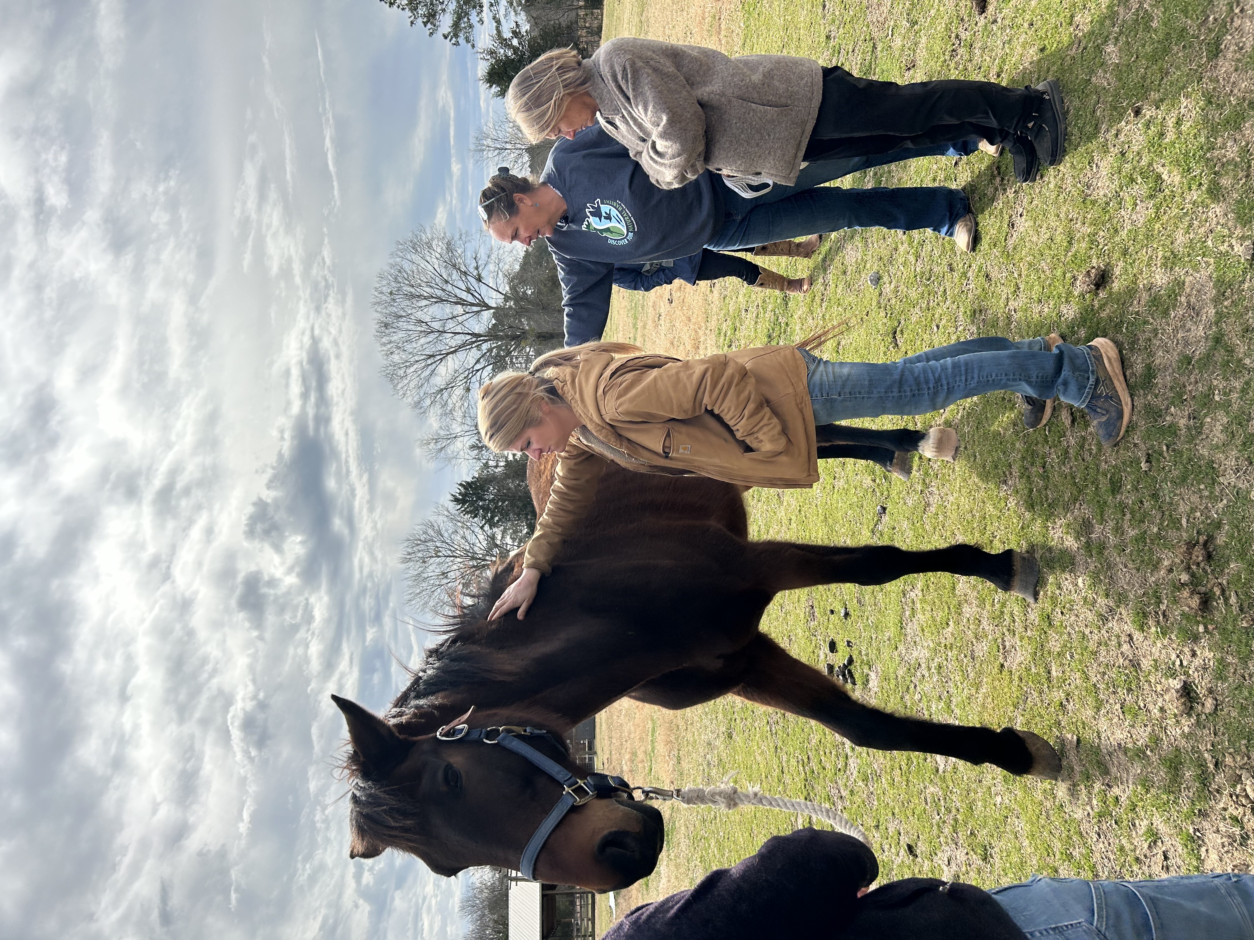 The Athens Area Horse Community and ReDux Equine Rescue hosted the "Identify Equine Abuse and How to Help" Seminar on March 9, 2025. The seminar featured a presentation on recognizing signs of abuse in horses, along with hands-on experience working with horses in rehabilitation to practice key skills like weight taping and physical assessments of equine welfare.(Photo/Lilly Stone)