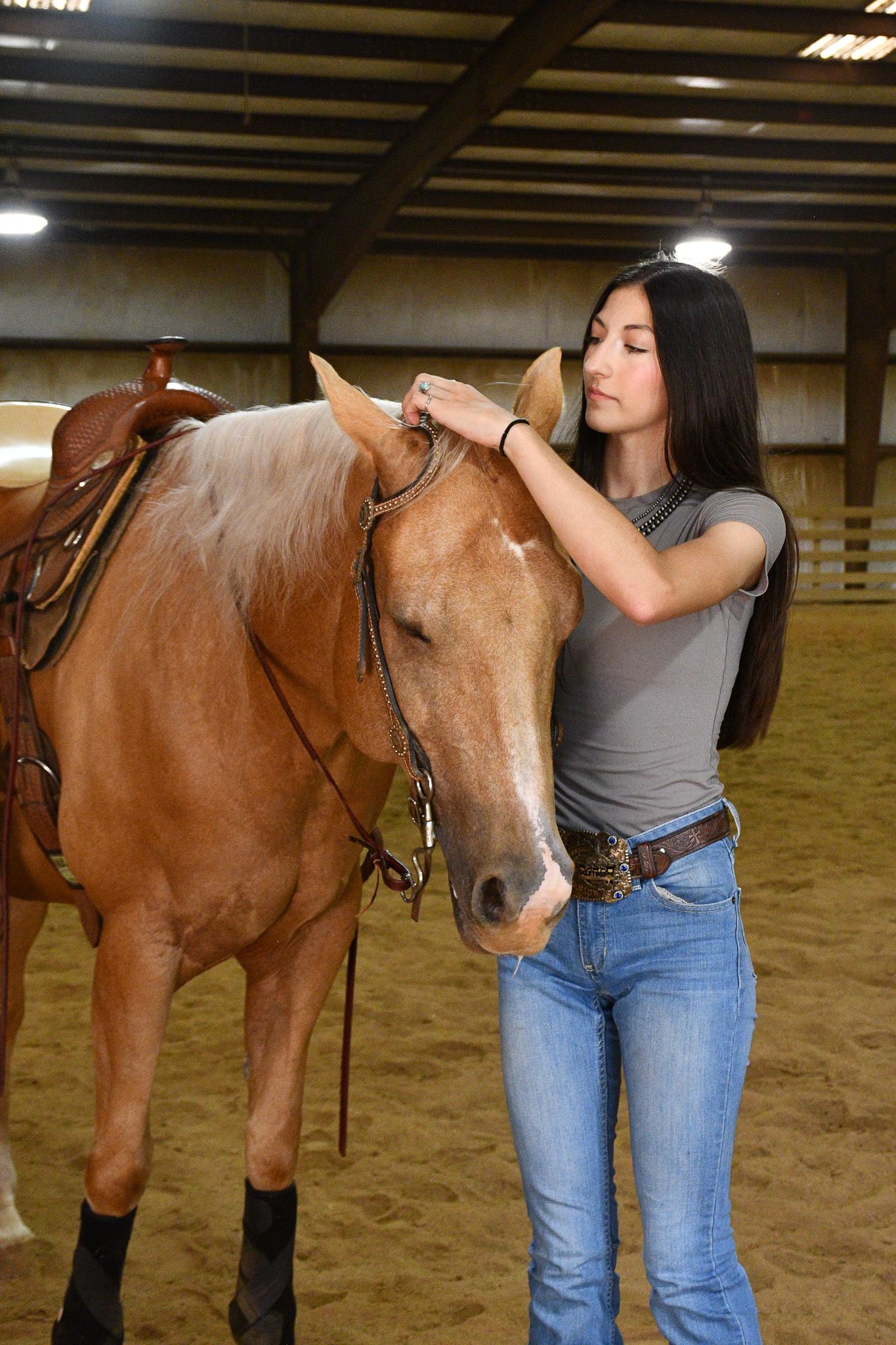 horse