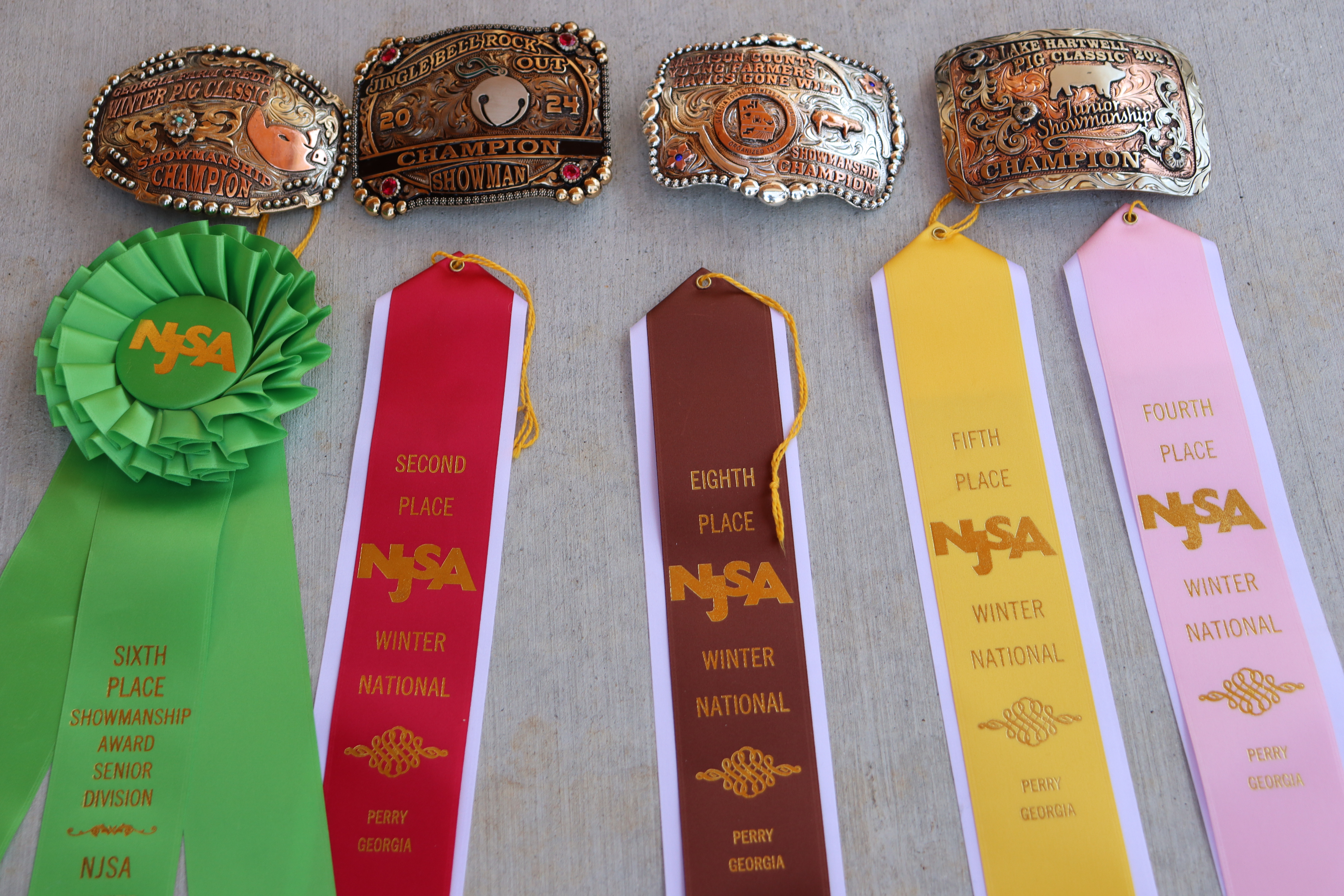 Oglethorpe County High School senior Raegan Poulnott receives a ribbon or belt buckle when she places in a livestock competition. Her belt buckles from previous shows sit above ribbons from her most recent event, where she placed sixth overall in Senior Showman at the NJSA Winter National Swine Show on Jan. 15, 2025. (Photo/Lilly Stone)