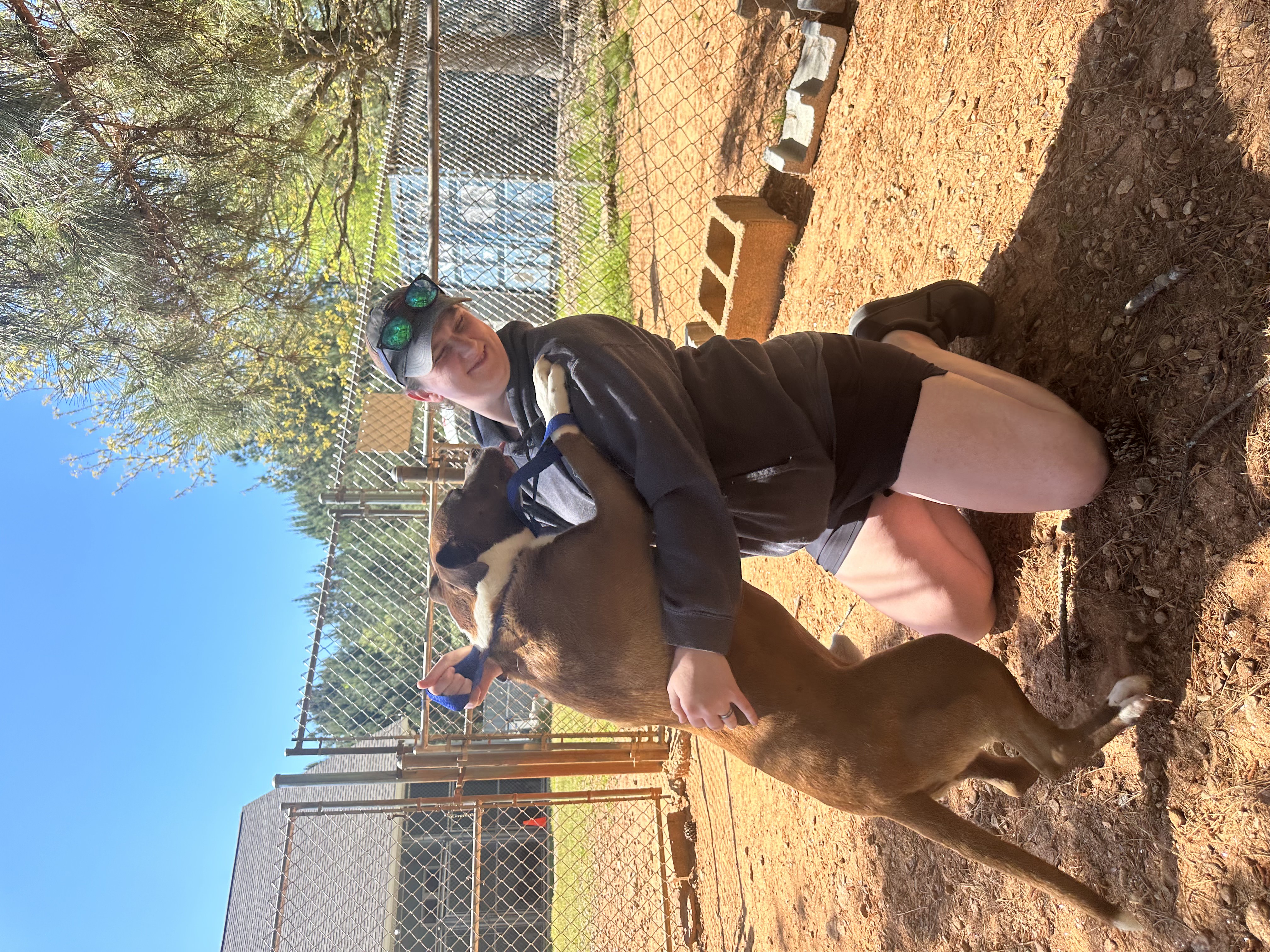 MOAS shelter manager Juli Huth plays with Jax recently at MOAS. Jax is available for adoption and sponsorship through the MOAS sponsorship program.