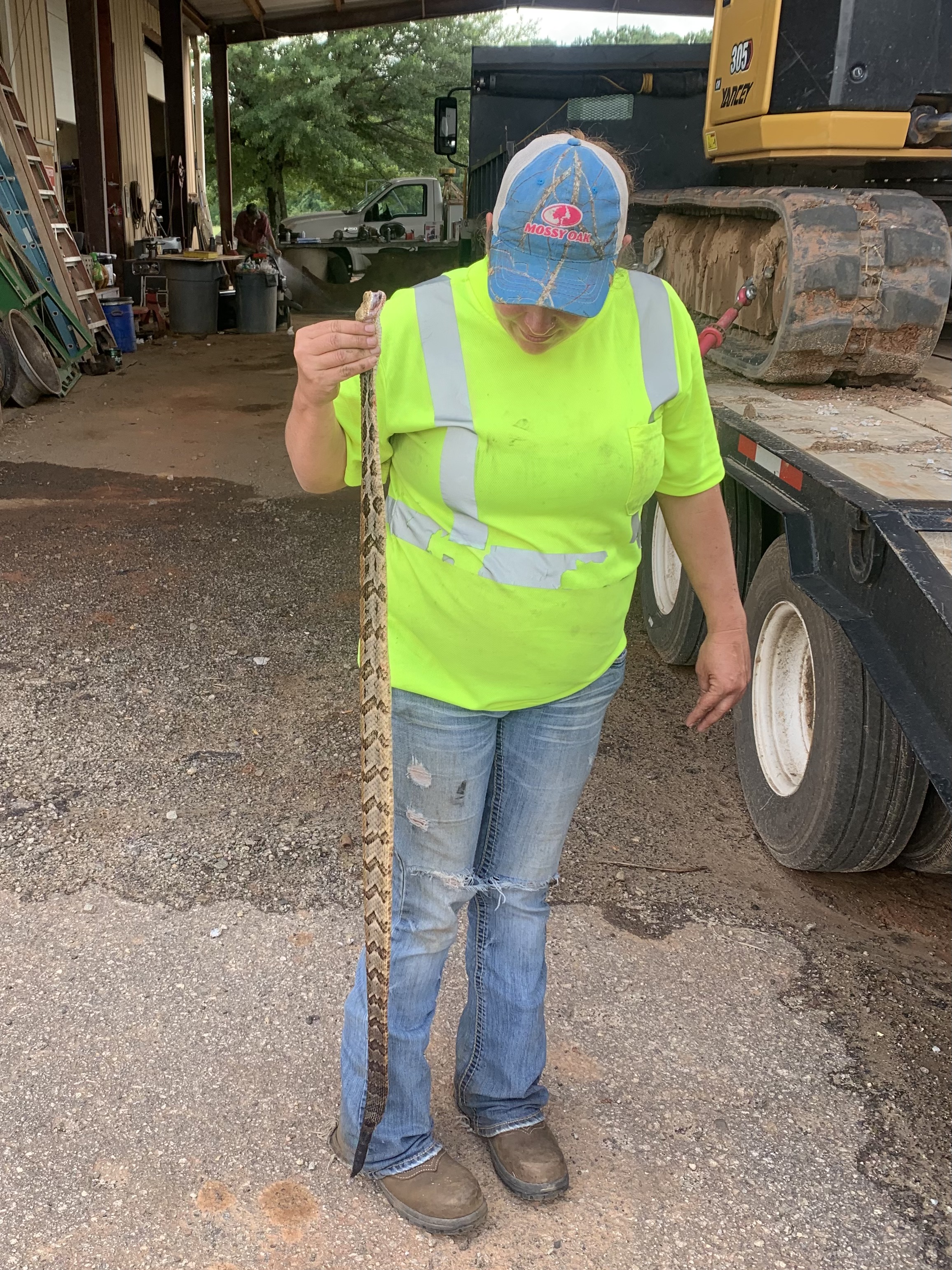 snake