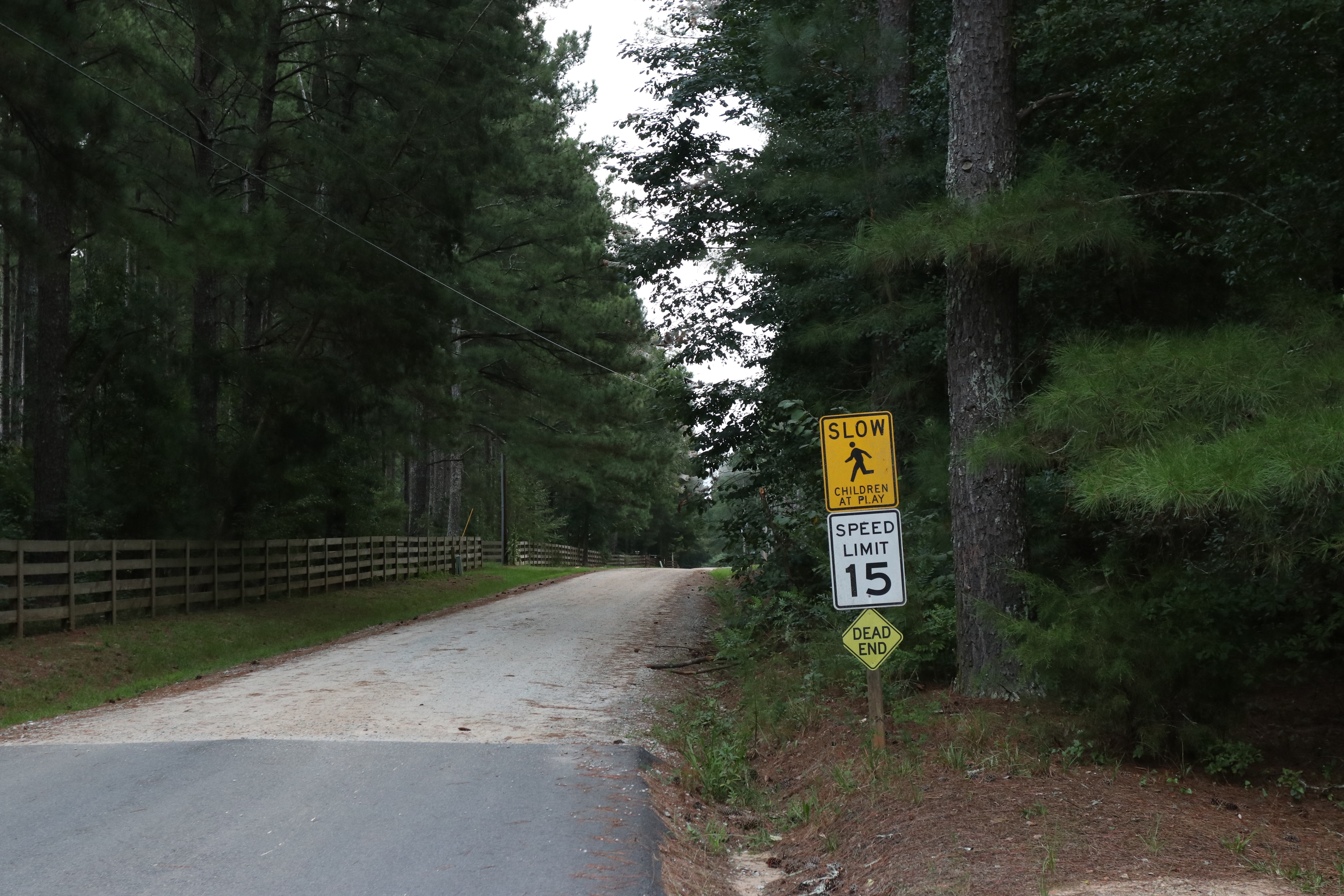 Pine Grove Road in Arnoldsville, Ga, on Aug. 21, 2025. The paving project will be funded by Oglethorpe County's TSPLOST and waterline upgrades will come from the city's funds. (Photo/Mia Fishman)