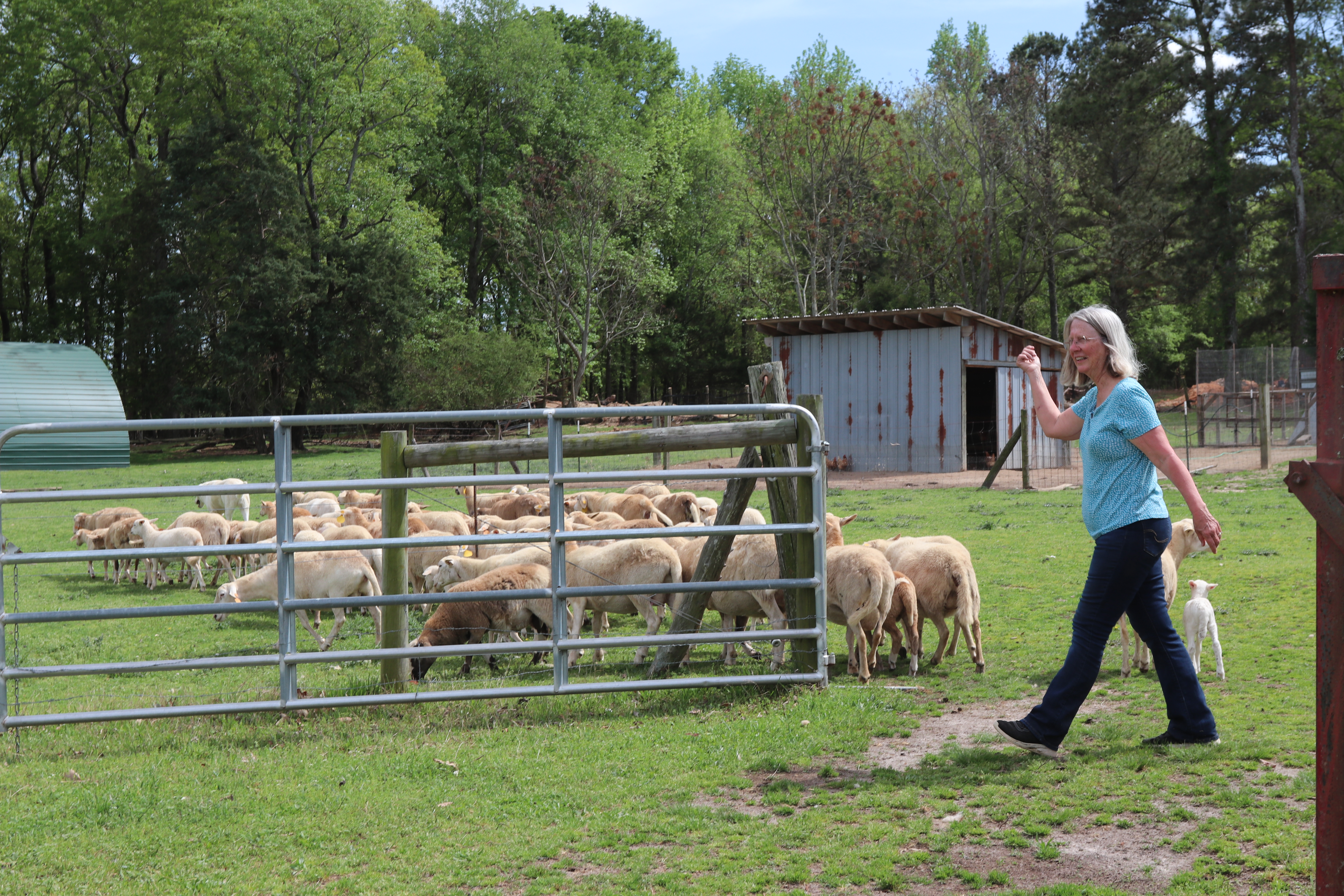 Susan Shaw on her family’s farm in Oglethorpe County. (Photo/Lilly Stone)