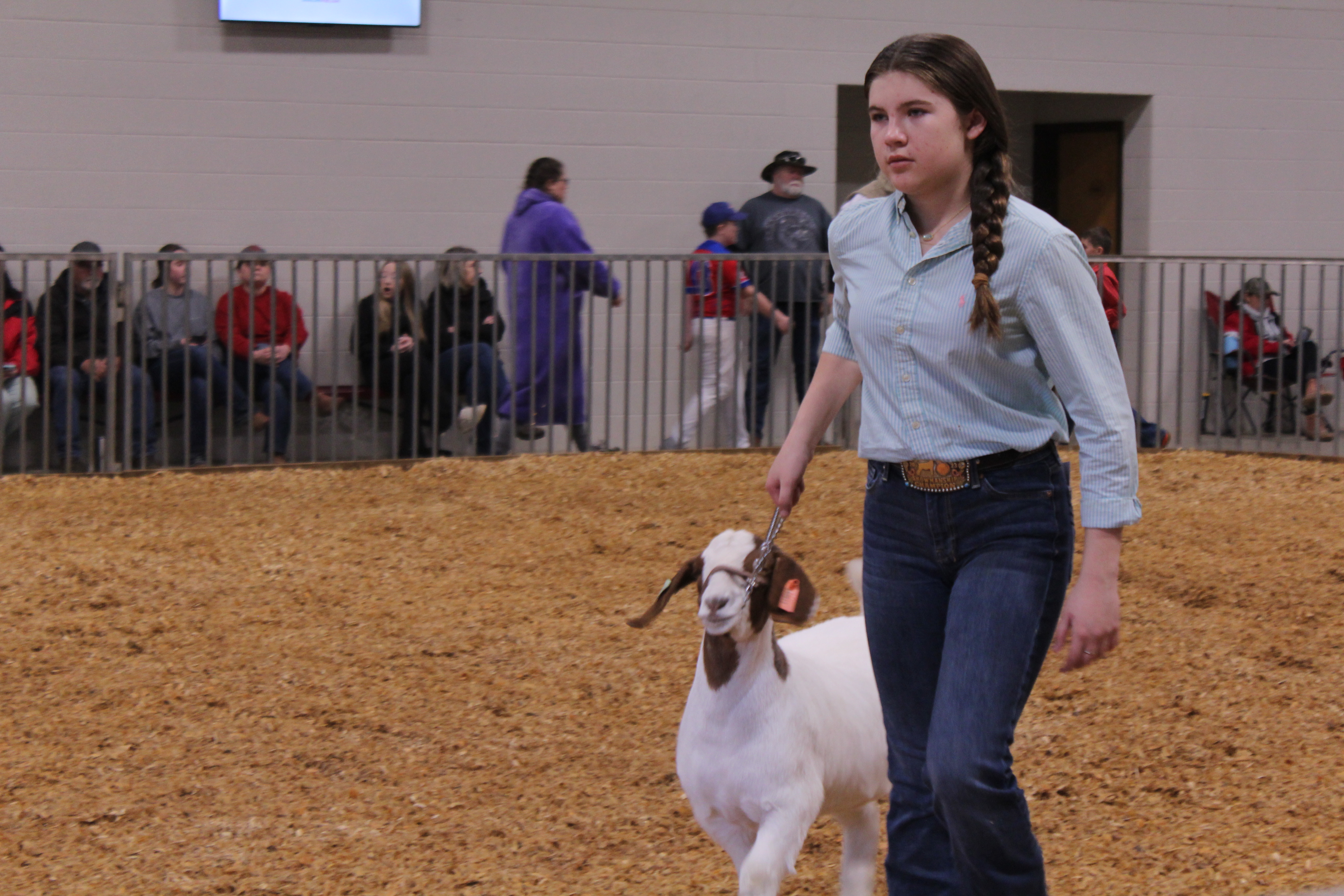 Reagan Reynolds shows her breeding doe. (Photo/Sara Micale)