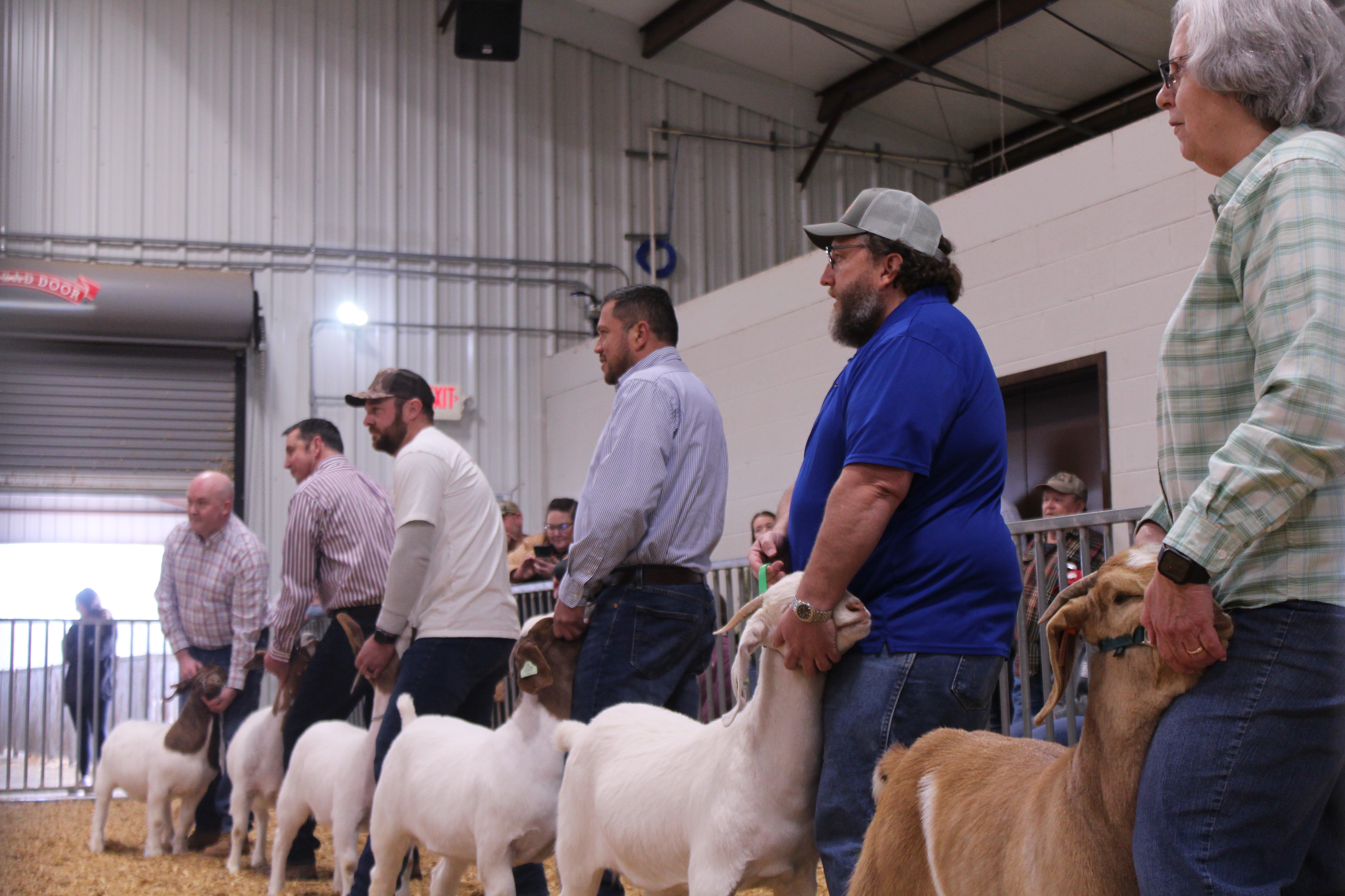 Ean Sonnier (from left), Bill Sampson, Dan Brubaker, Guillermo Camacho, Paul Thiel and Susan Robinson line up with breeding does for the celebrity showmanship event. (Photo/Sara Micale)