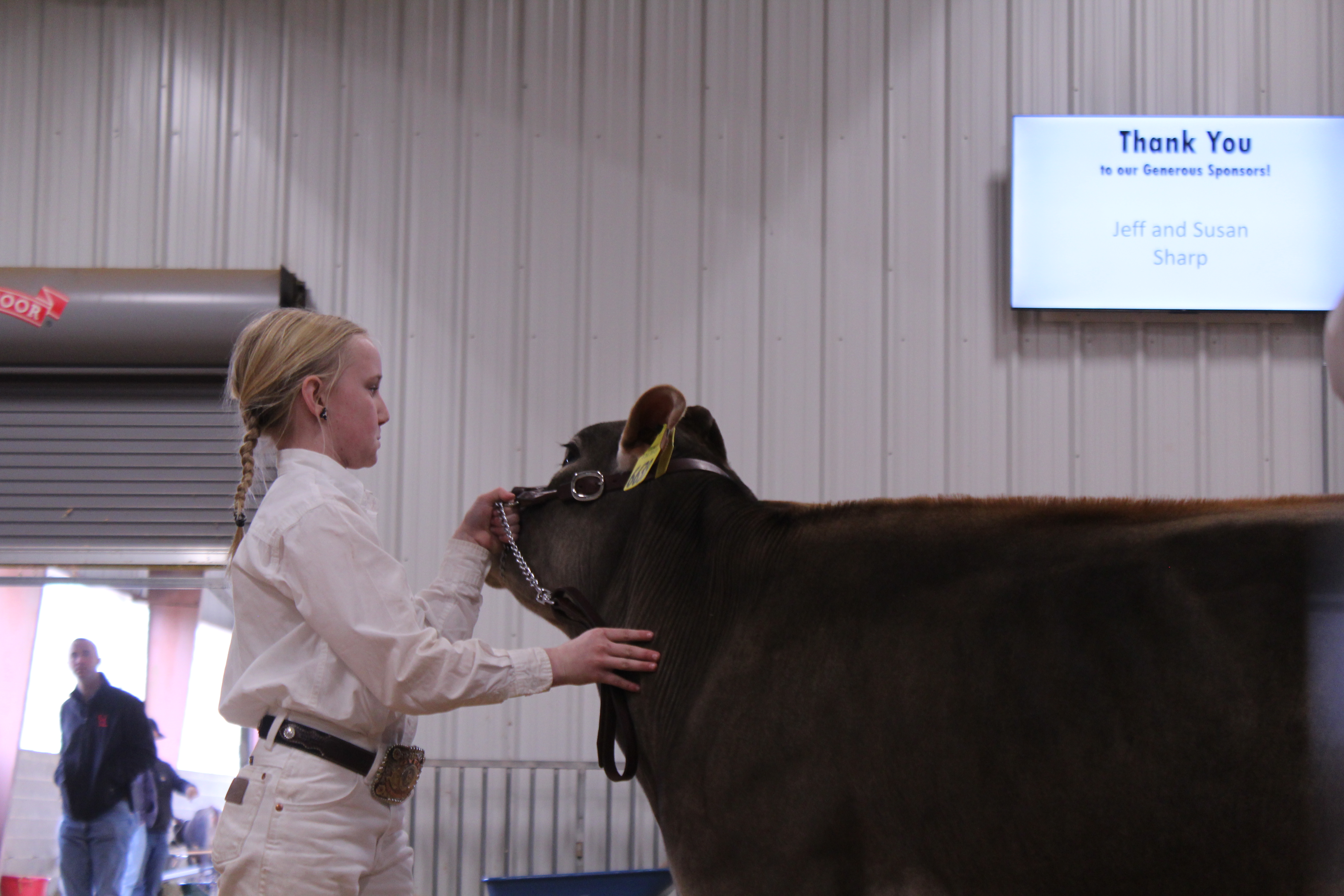 Camden Huff guides a dairy heifer through the ring. (Photo/Sara Micale)