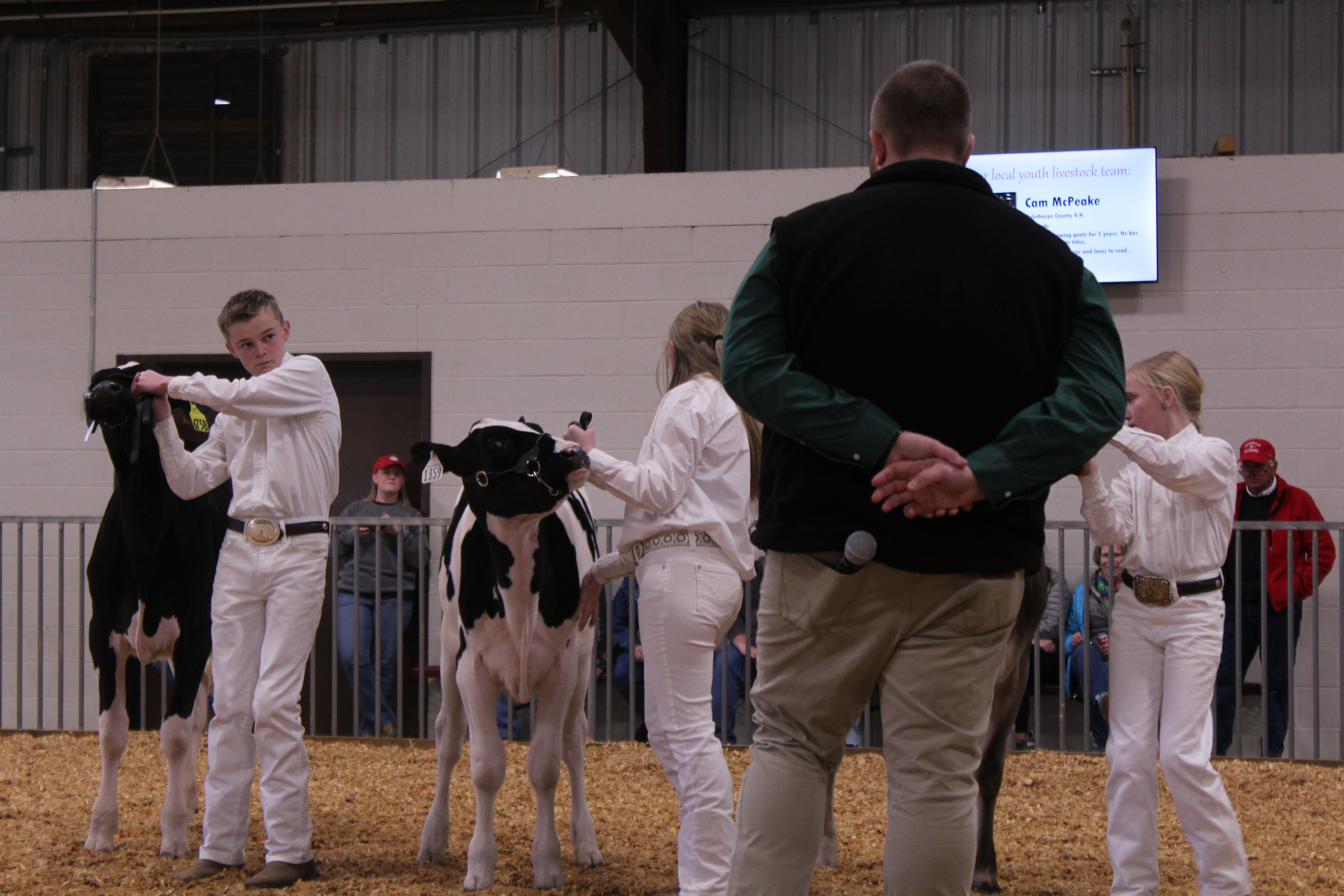Matt Holton judges Luke Huff (left) and others in the dairy show, which requires different performance techniques and preparation from the other animals. (Photo/Sara Micale)