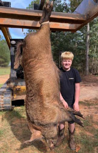 More hog than boy