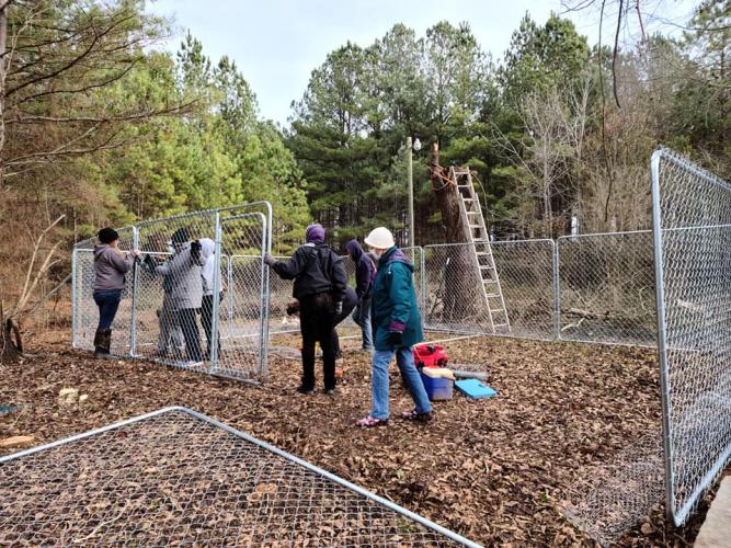 Volunteers with Paws UnChained work together to install a chain-link fence enclosure for a family that needed assistance with a secure area for their dog. The organization’s services are free to those who need them and qualify. (Submitted Photo)