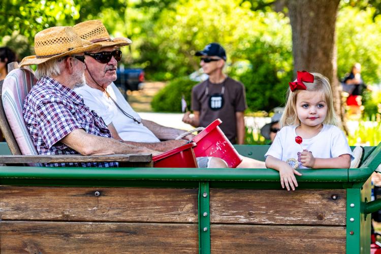 Folks ride in the Marigold Festival parade on Saturday. According to the festival’s website, the marigold stands for friendship, which inspired the festival’s mission to bring the community together. (Photo/Jack Casey)
