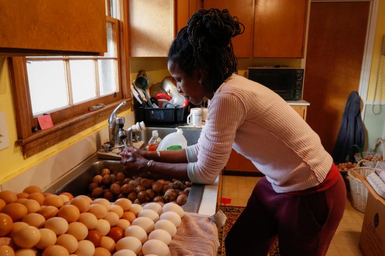 Tamita Brown washes and sorts eggs in her kitchen on her farm called Caribe United. She learned about farming while growing up in St. Elizabeth, Jamaica. (Photo/Basil Terhune for The Oglethorpe Echo)