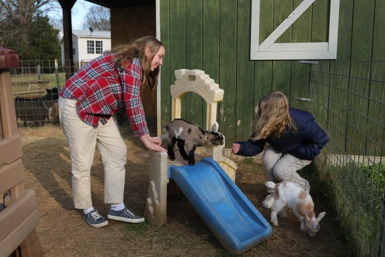 Emma Early (left) and her sister, Catie Early, both from Maxeys, play with one of the kids at Stillcrazy Farm in March. Owner Robbie Buchanan invites the girls to socialize the kids before they are sold to families. (Katie Tucker/For The Oglethorpe Echo)