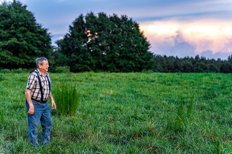 Ted Hughes looks at the part of his land where a meteorite was thought to have crashed into the earth in the 1940s. The meteorite has been at the Field Museum in Chicago since the 1940s. (Photo/Jack Casey)