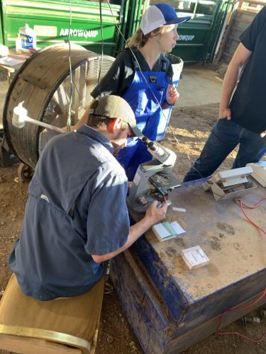 Thomas McNair, a veterinarian with Wilkes County Veterinary Services, analyzes bull semen quality at an Oglethorpe County Extension event in Rayle last Friday. (Submitted photo)