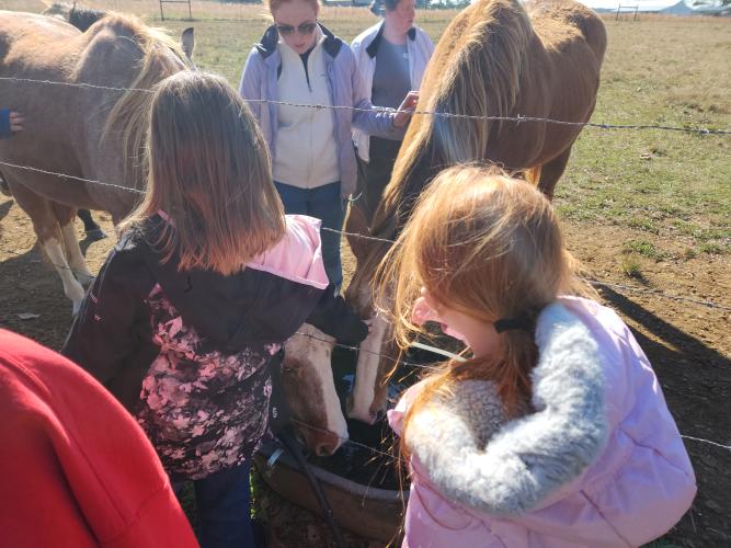 Members of the Oglethorpe County 4-H Horse Club interact with horses during the group’s first meeting at Echo Hill Farm last month. (ANDREA GUTIERREZ/THE OGLETHORPE ECHO)