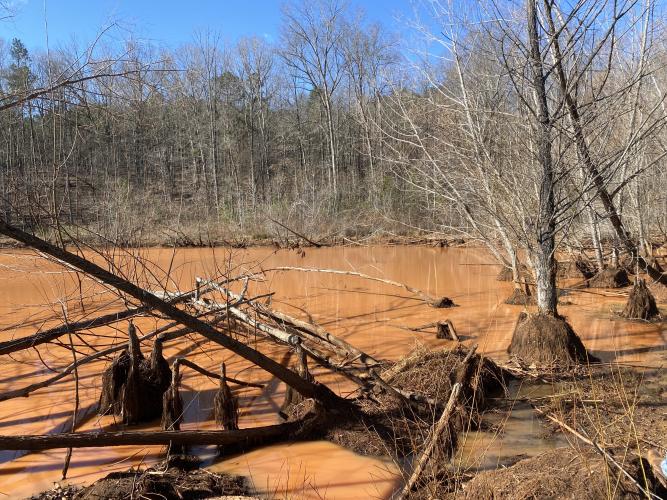 Oglethorpe County property owner Joe Forrester said his lake in Goose Pond has been "totally red" for two months. His land is adjacent to the Timberland Solar Project. (Erin Kenney/The Oglethorpe Echo)