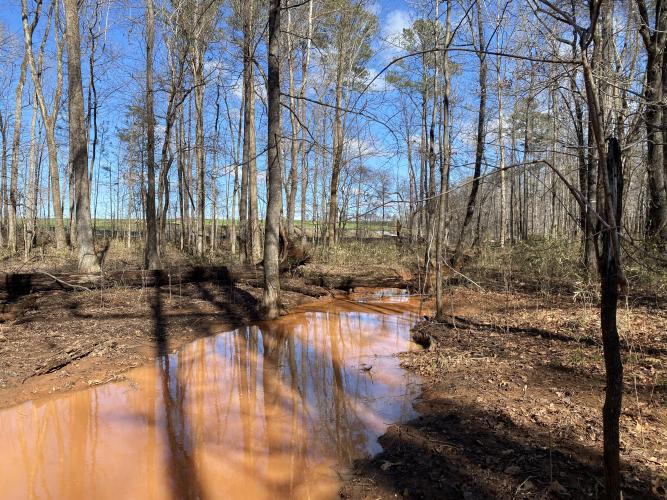 The Timberland Solar Project clearing is visible from Forrester's property in Goose Pond. (Erin Kenney/The Oglethorpe Echo)