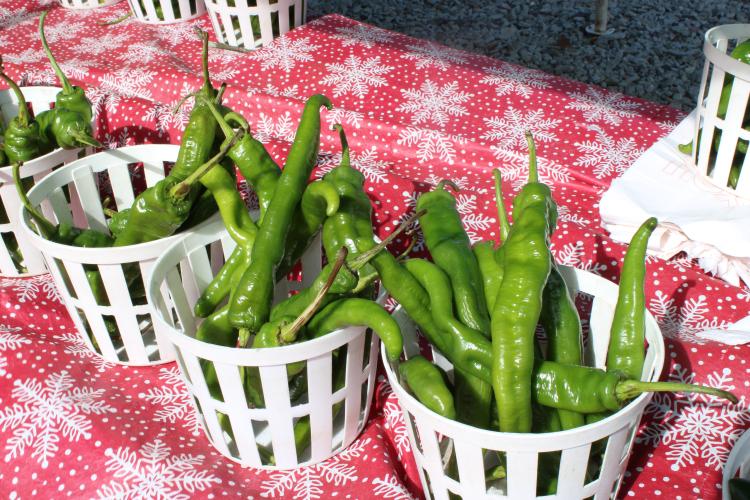 These are some jalapeño peppers that you can find at Strickland's produce stand. (Destiny Hartwell/ The Oglethorpe Echo)