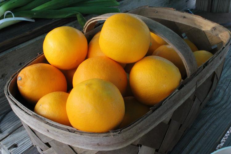 These are some lemons that you can find at Strickland's produce stand. (Destiny Hartwell/The Oglethorpe Echo)