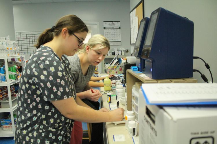 Veterinary technician Samantha Bell, left, and pharmacy technician Haven Wells measure out doses of medication at the Oglethorpe Animal Clinic on Monday, September 19, 2022. (Photo/Basil Terhune)