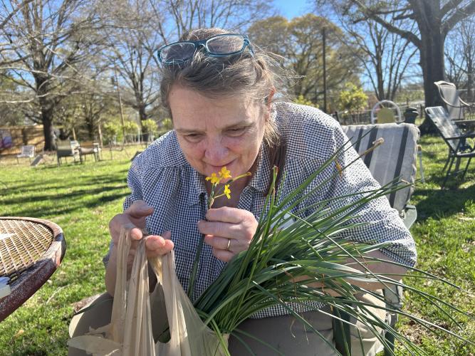 Master gardener Lamara Martin examines a daffodil before handing them out to guests at the Seed Swap. Martin, who lives in Athens, was one of two master gardeners at the Seed Swap, which was held March 4 at No. 3 Railroad Street. (SHELBY WINGATE/THE OGLETHORPE ECHO)