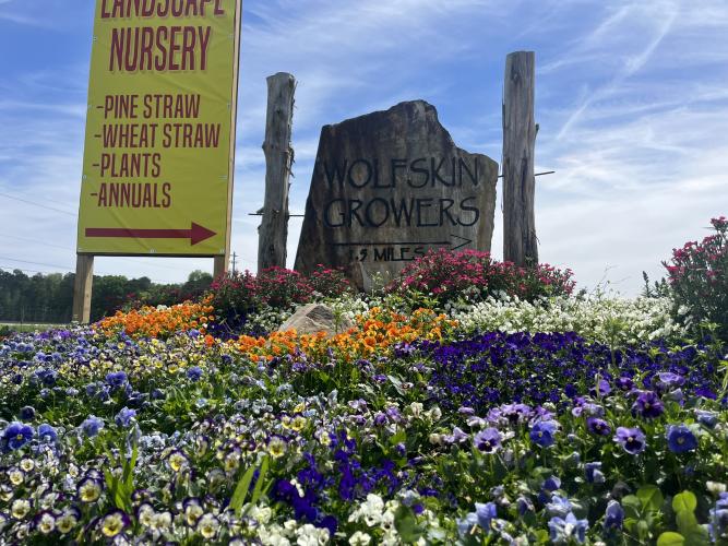 JACK RHODES/ THE OGLETHORPE ECHO Wolfskin Growers sign sits at the beginning of Double Bridge Road in hopes to pull in new customers to the nursery which is just 1.5 miles down the street.