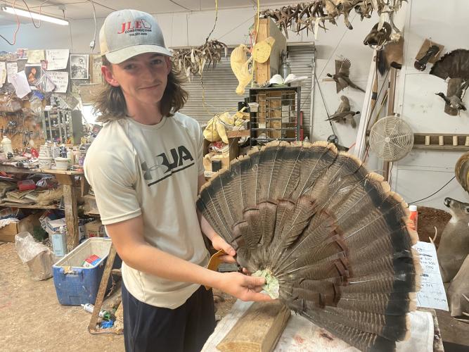 (Alex Bavosa/The Oglethorpe Echo) Tommy Nimmons, a junior at Oglethorpe County High School, showcases his current taxidermy job, which happens to be a turkey tail, earlier this month. Nimmons is the son of Andy Nimmons, who owns Andy Nimmons Taxidermy.