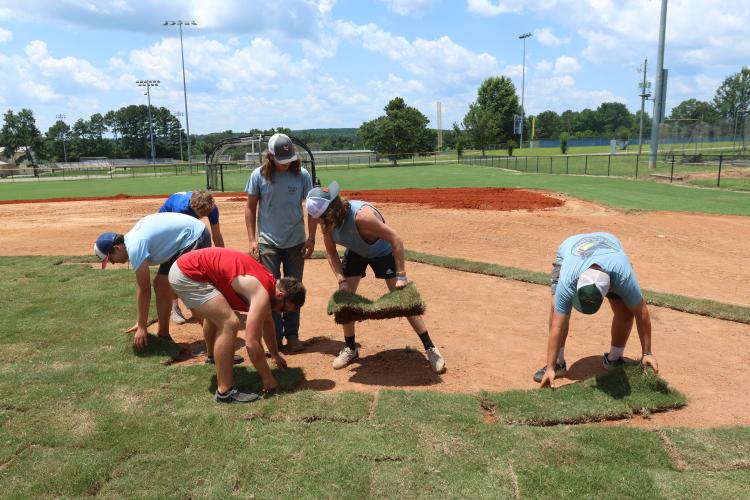 Oglethorpe County baseball players move and place the sod during work at the OCHS baseball field on July 12. The infield was leveled and the pitching mound was raised to regulation height. (LANDEN TODD/THE OGLETHORPE ECHO)